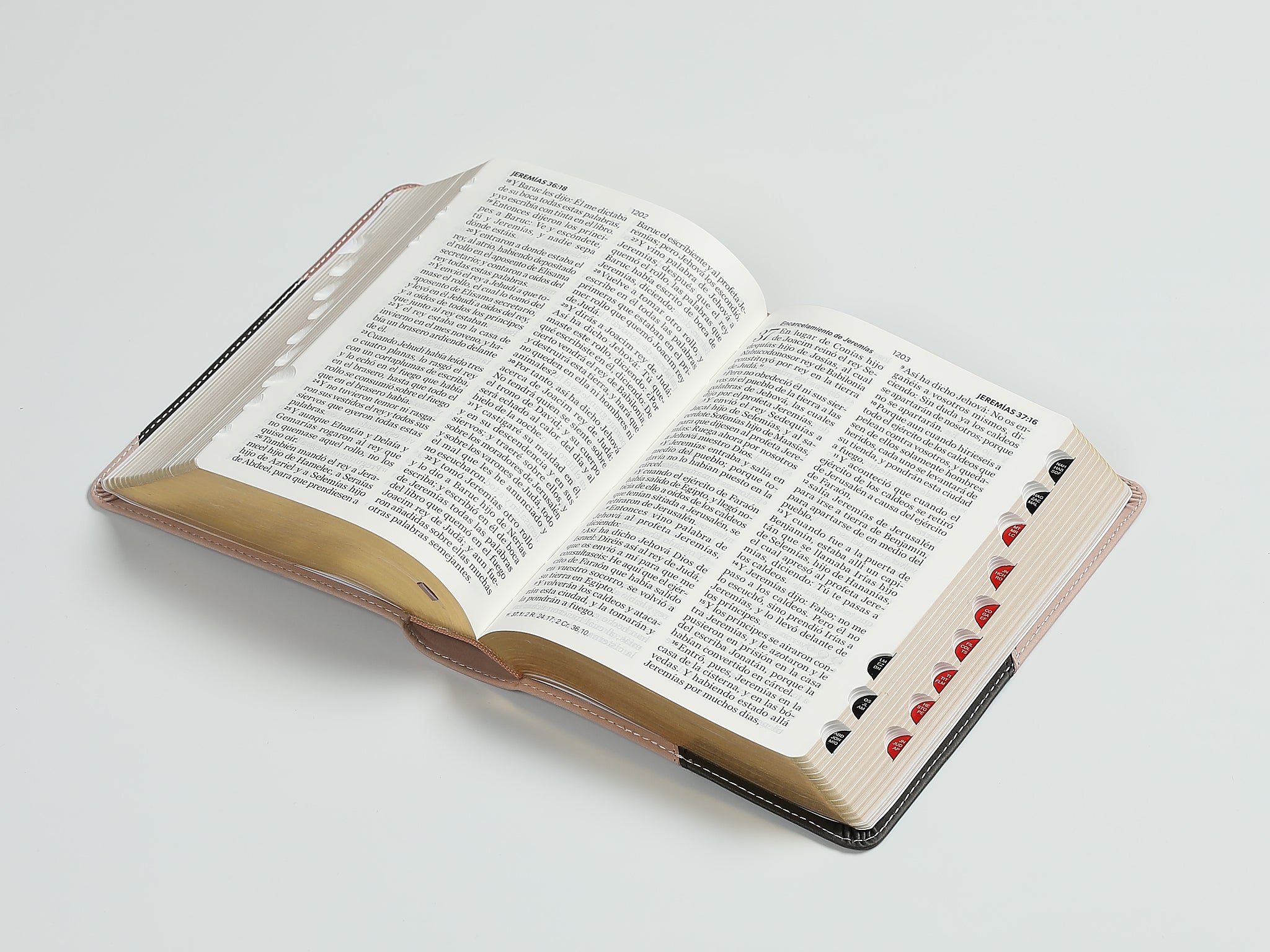 Biblia RVR60 con índice - Tricolor | Tamaño manual