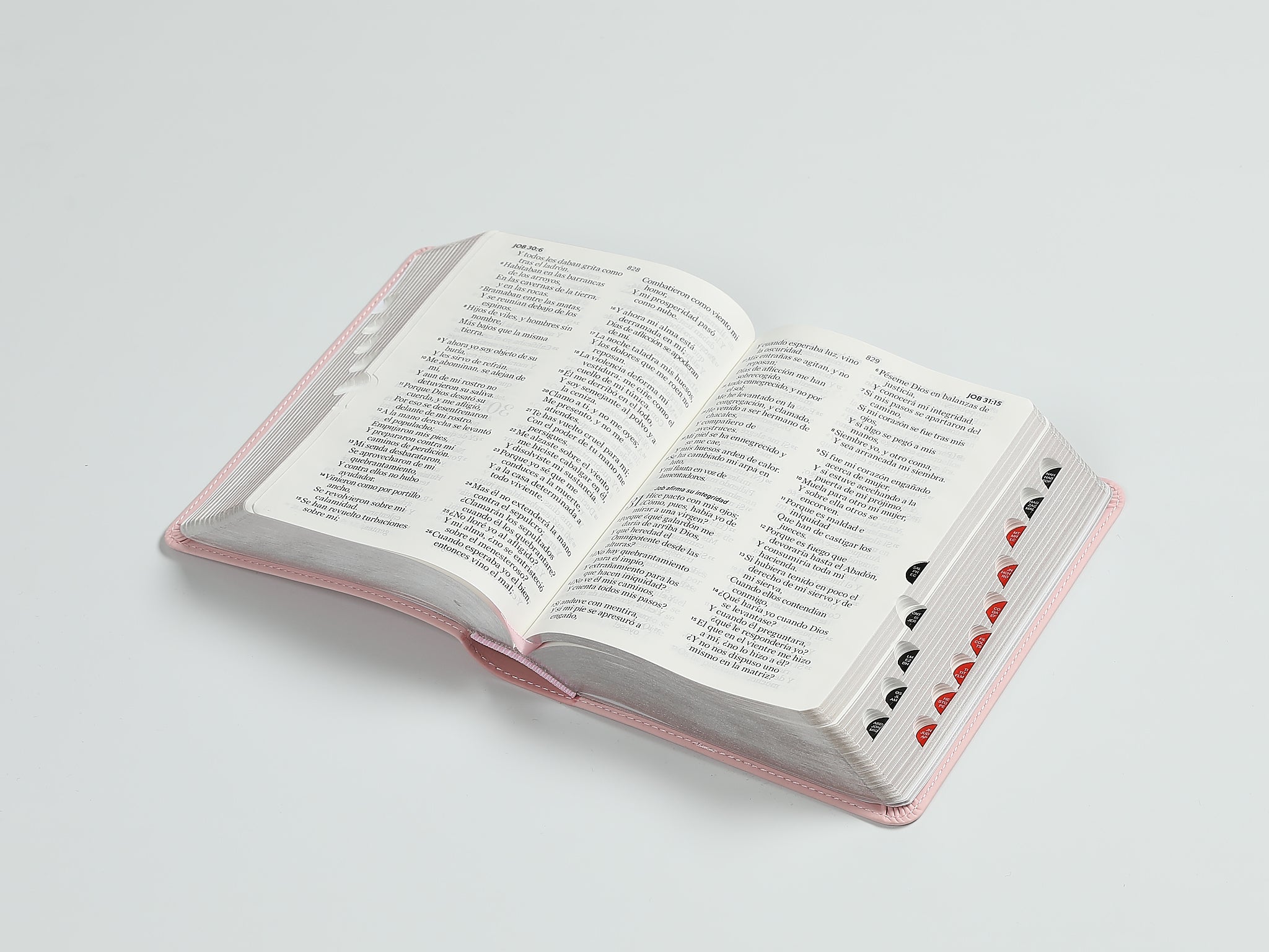 Biblia RVR60 con índice -  Rosa | Tamaño manual