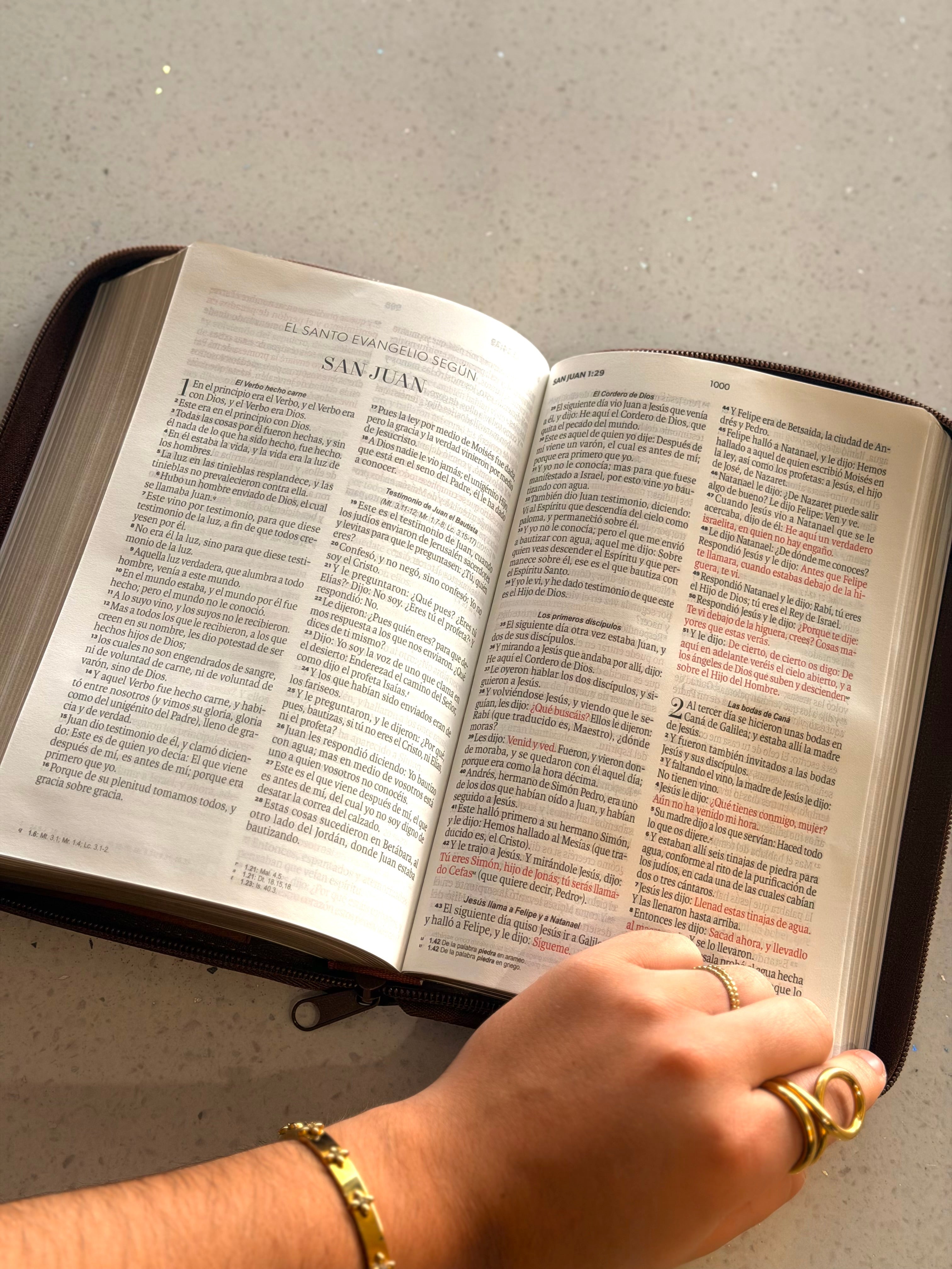 Biblia RVR1960 | Tapa Blanda Café con Cierre Obsequios y Premios