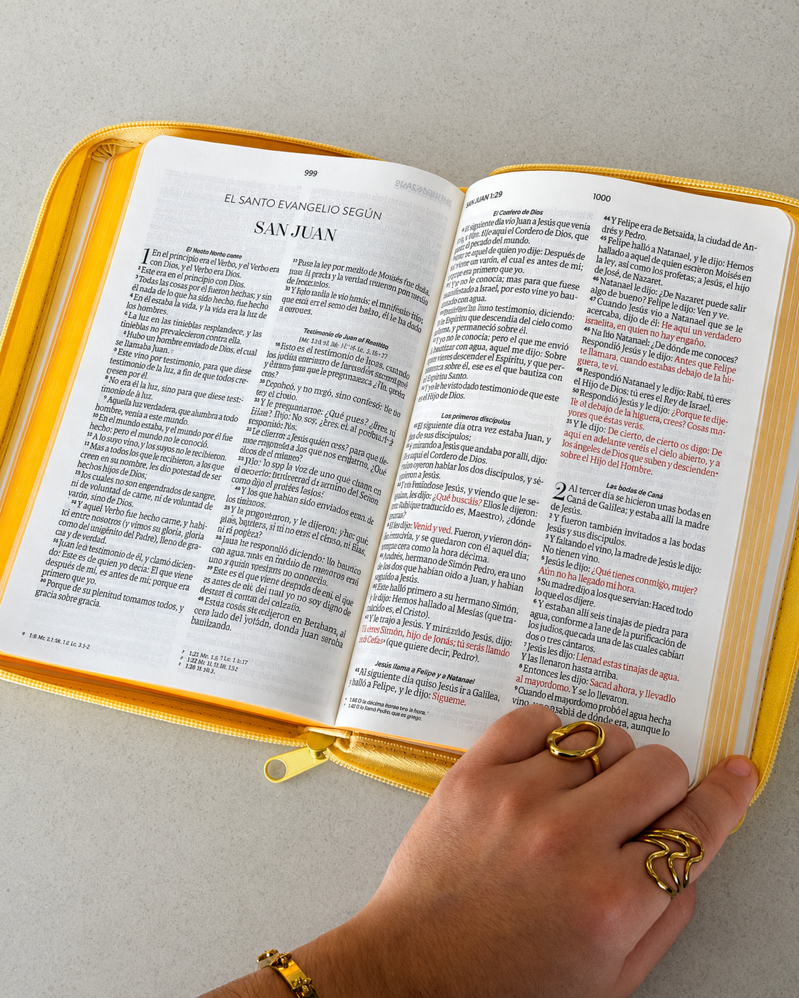 Biblia RVR1960 | Tapa Abeja con Cierre