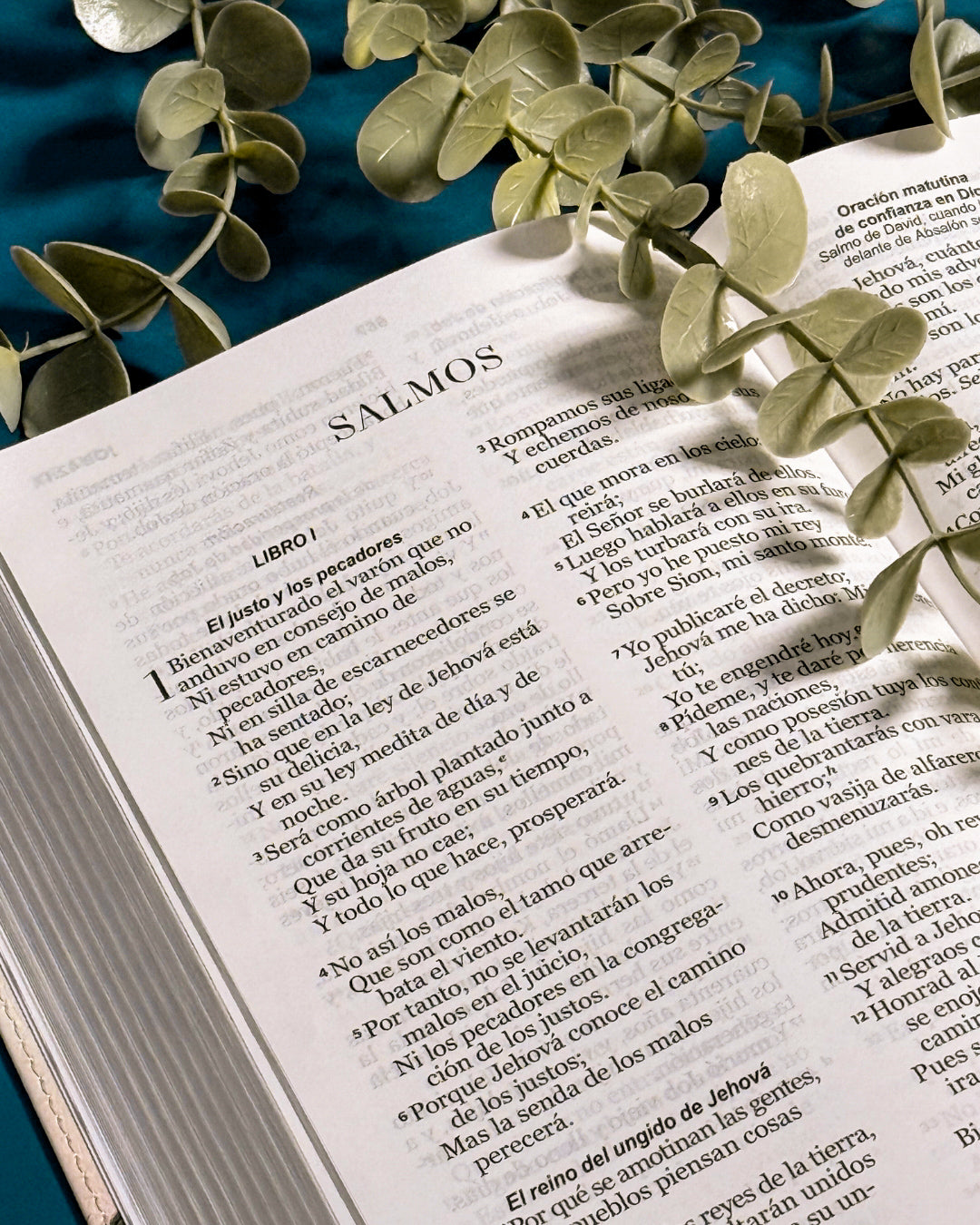 Biblia RVR1960 | Diseño Faro