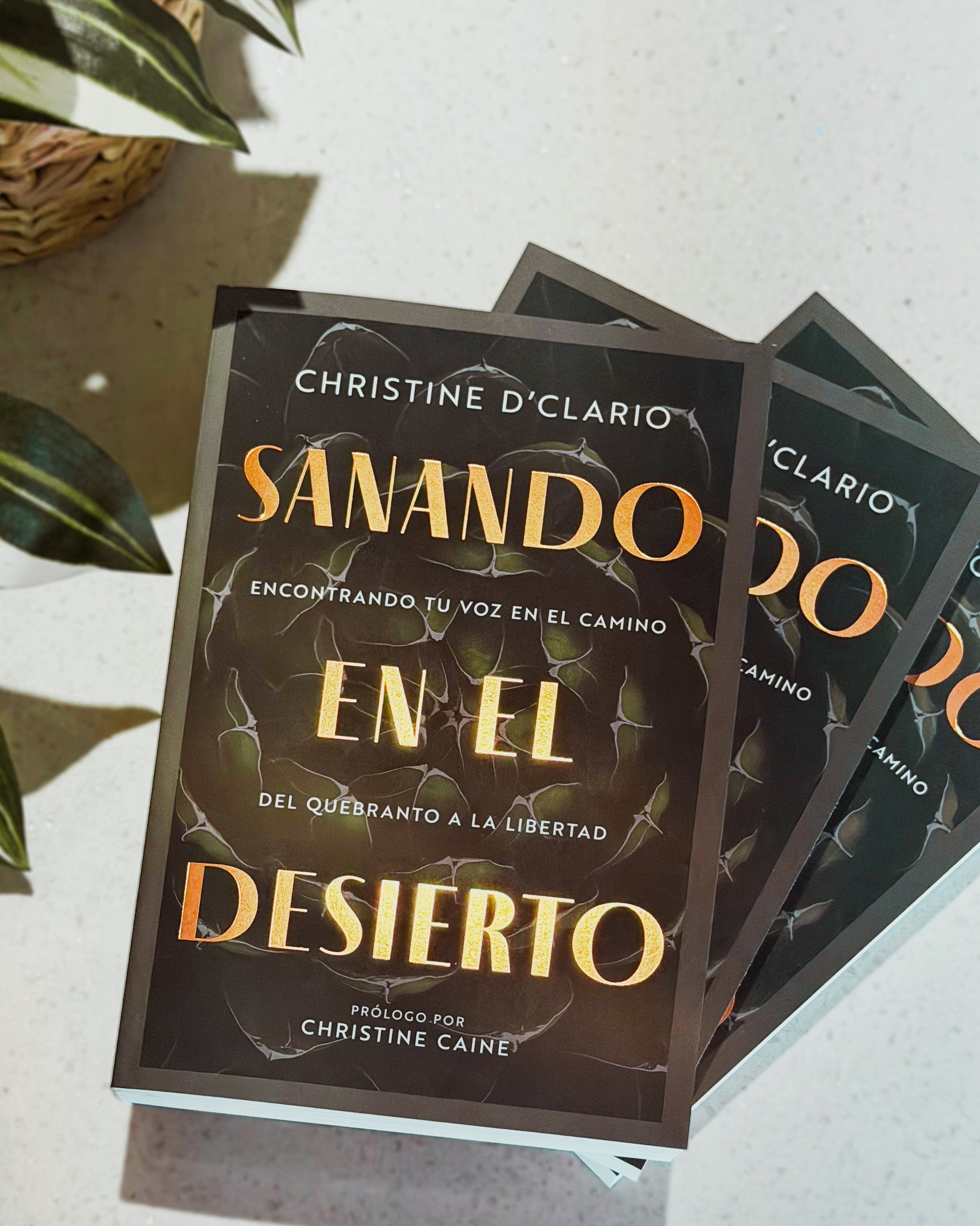 Sanando en el Desierto: Encontrando Tú Voz en el Camino del Quebranto a la Libertad | Christine D'Clario