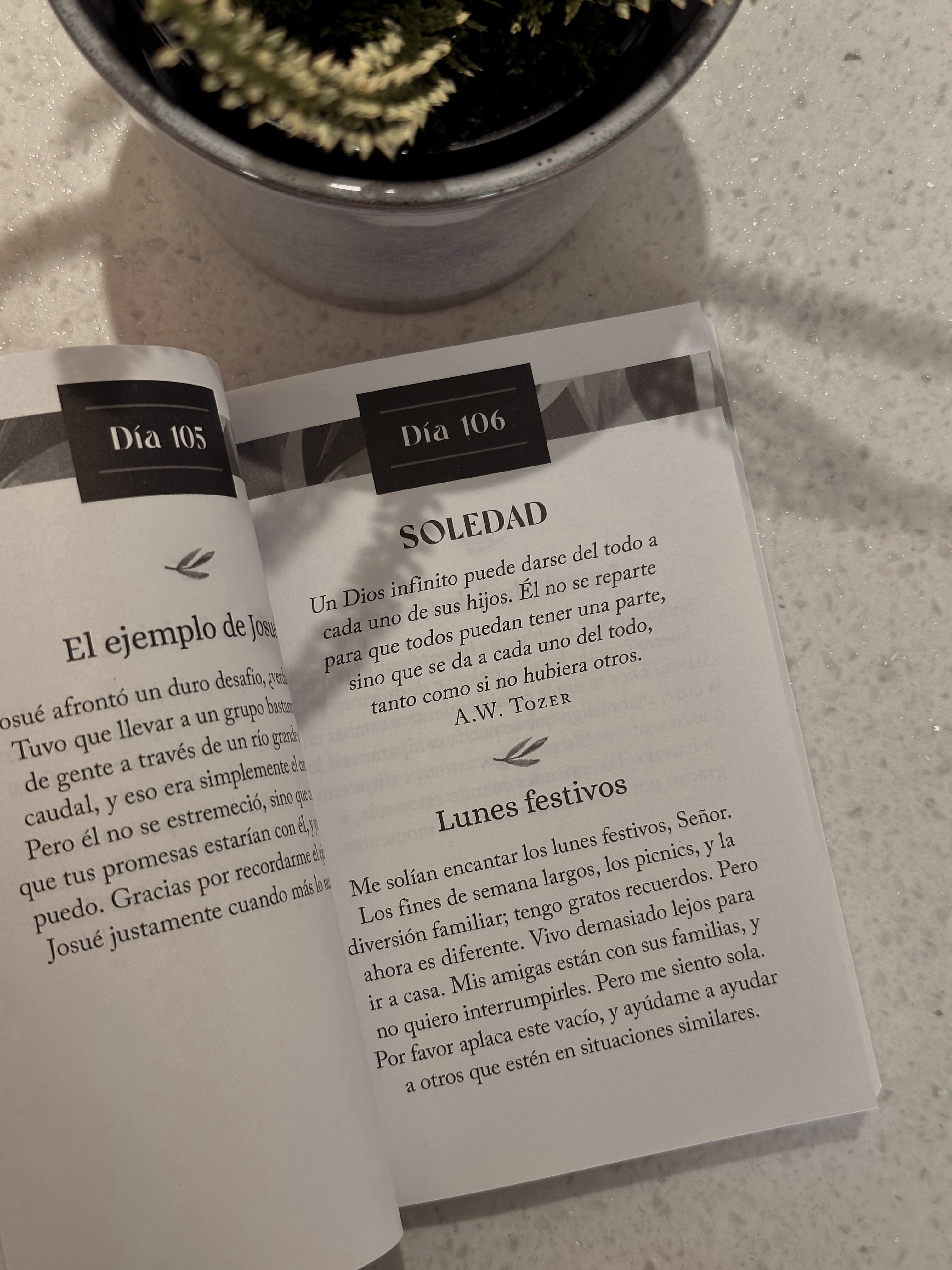 Oraciones y Promesas Diarias para las Mujeres | Barbour Staff