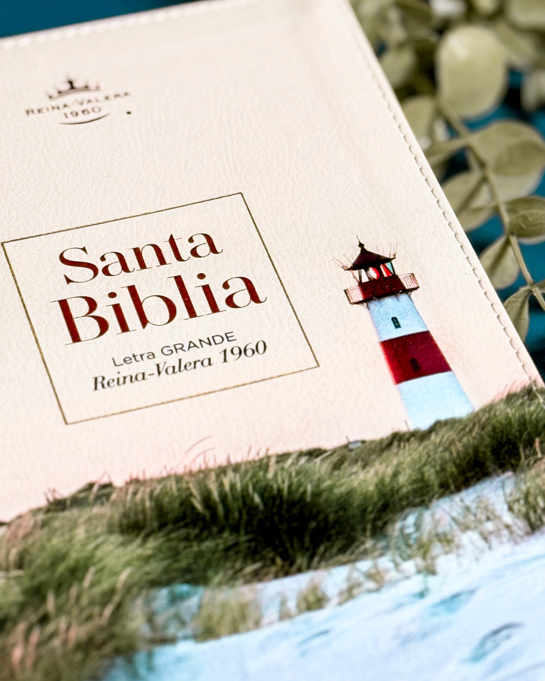 Biblia RVR1960 | Diseño Faro