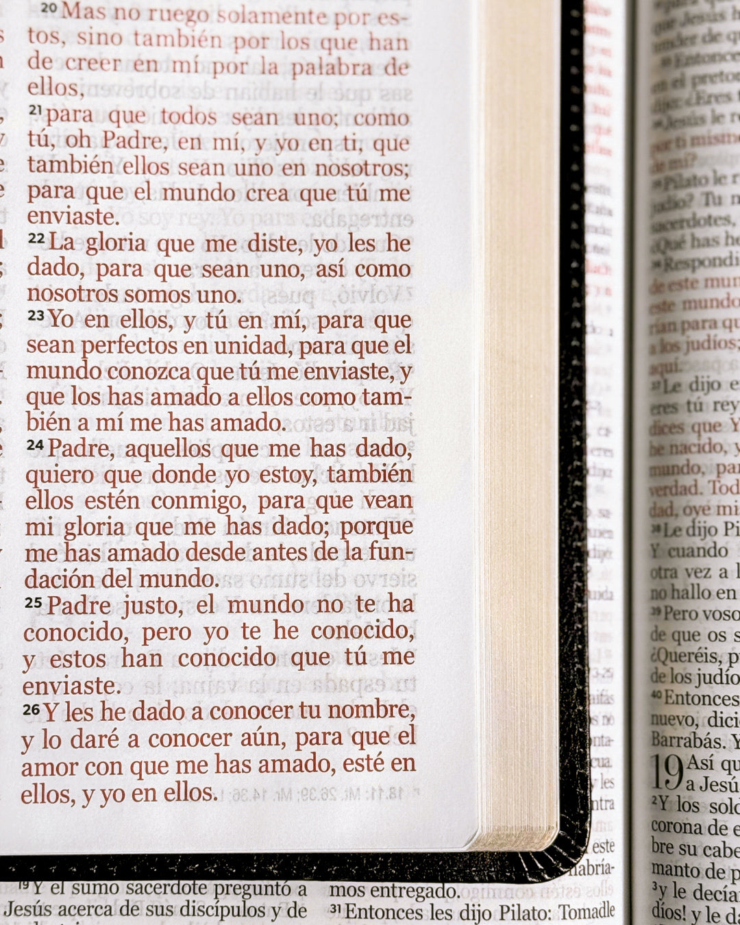 Biblia RVR1960 | Tapa Flex Diseño de León