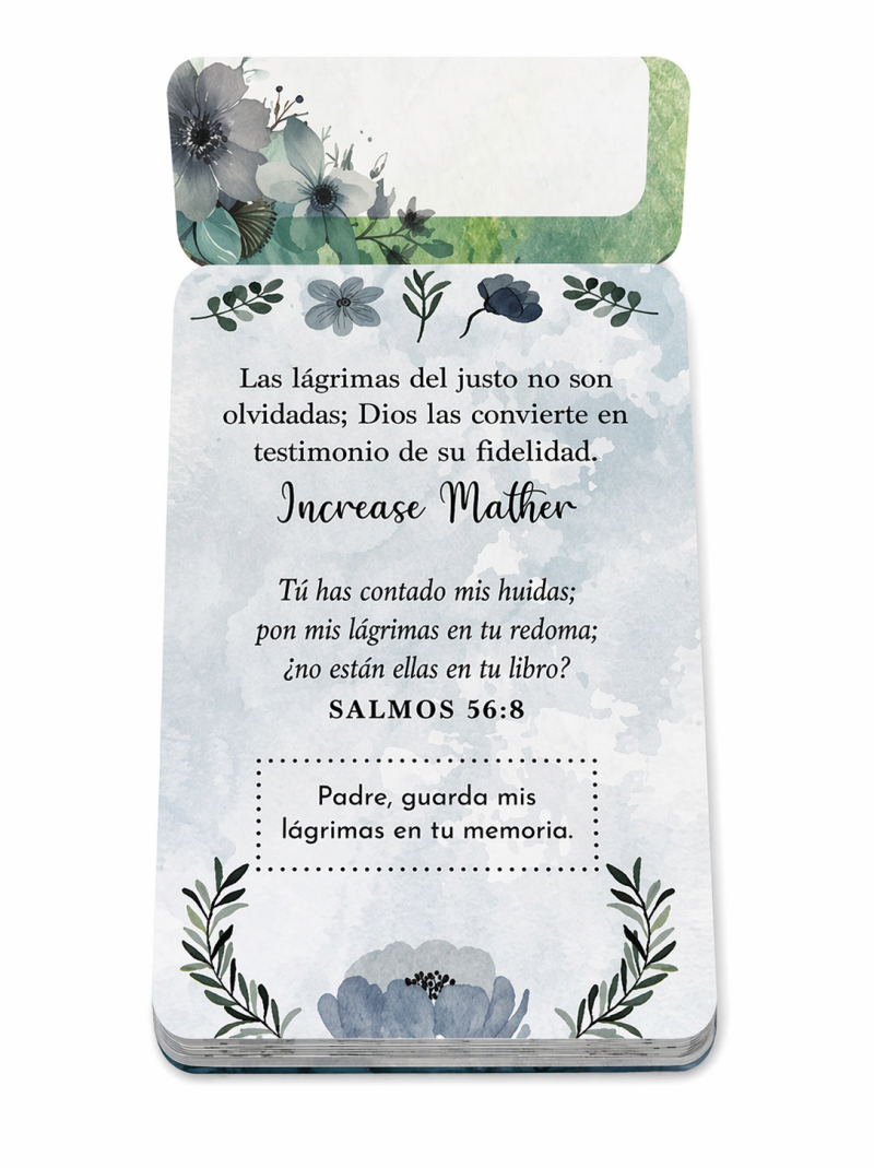 100 Meditaciones de Aliento