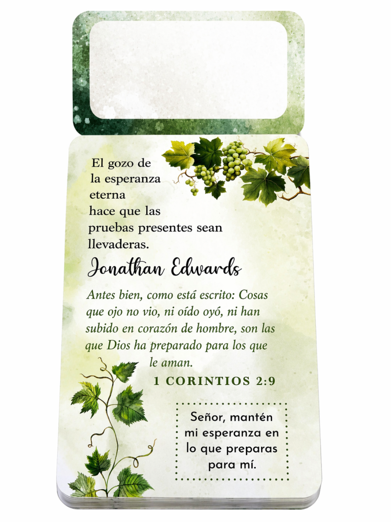 100 Meditaciones de Esperanza