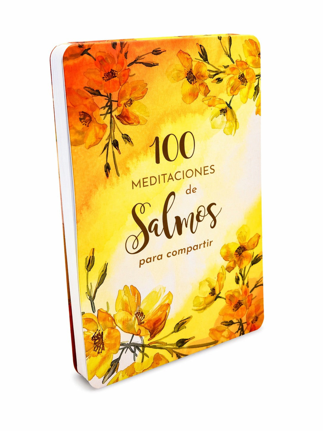 100 Meditaciones de los Salmos