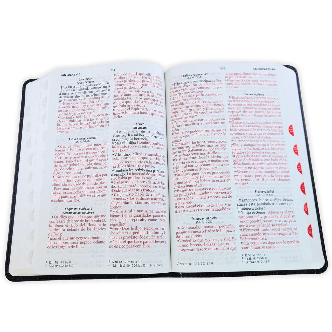 Biblia RVR60 | Colección Supreme Negro León y Cruces