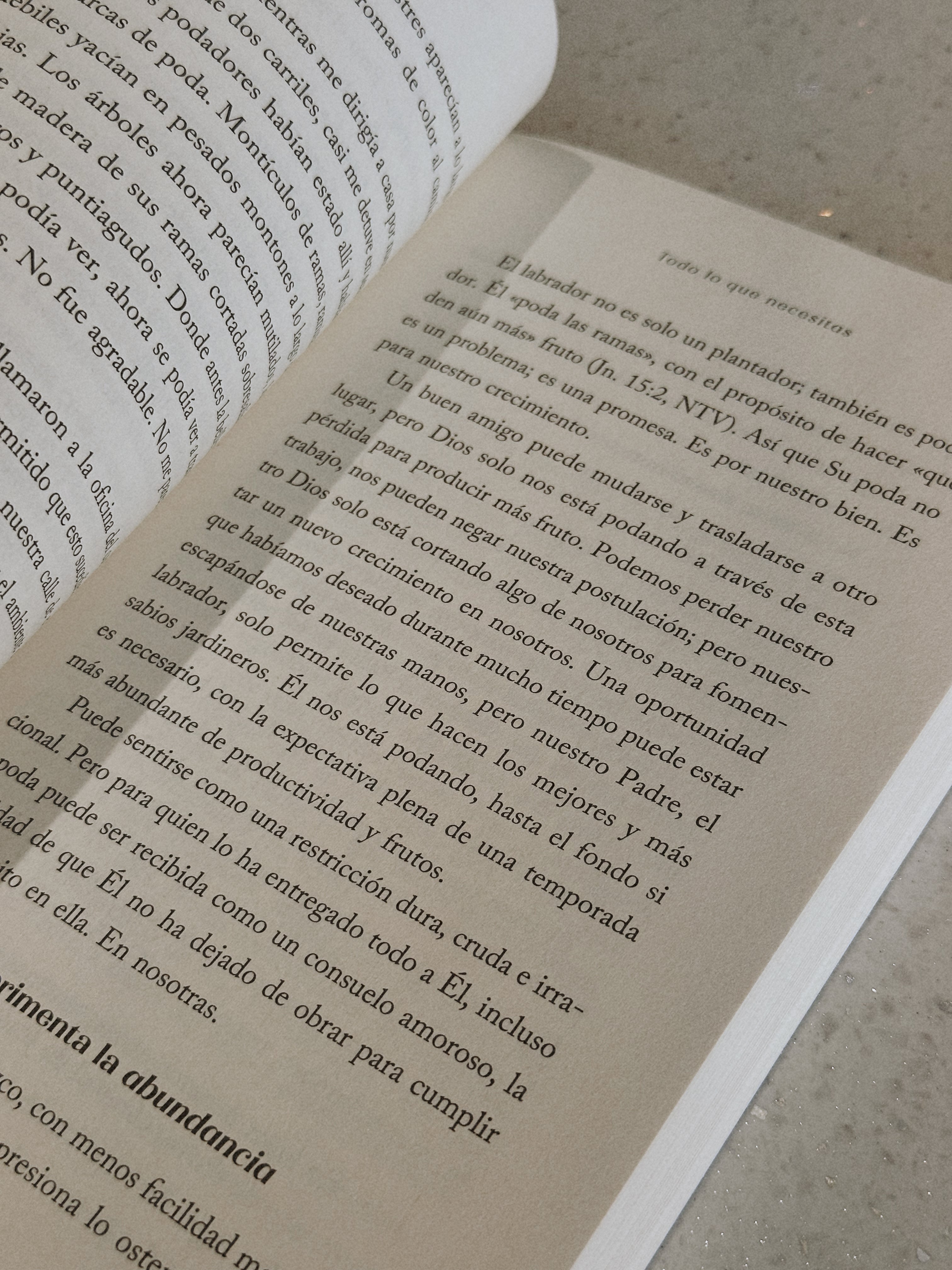 Lo Rindo Todo | Priscilla Shirer