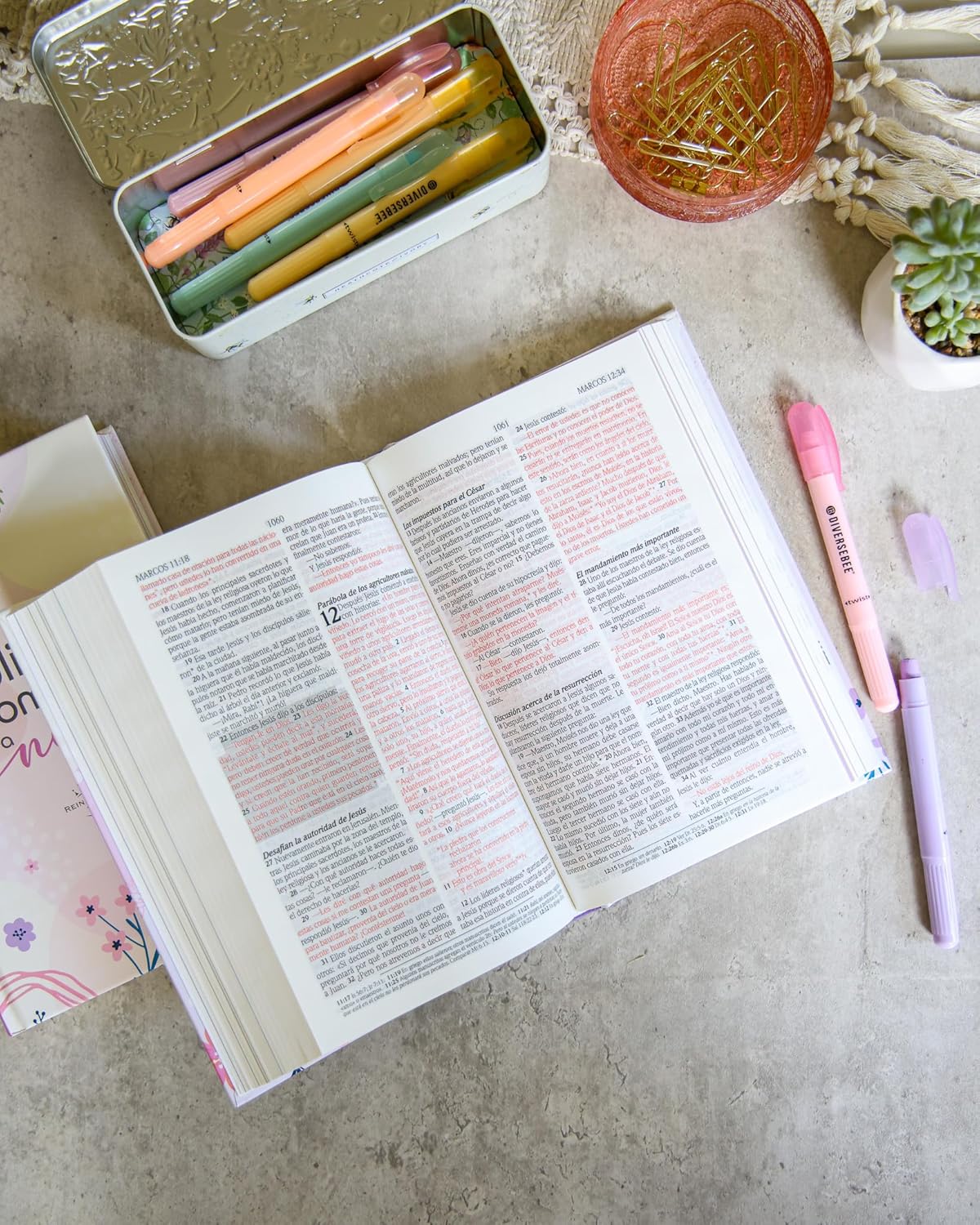Biblia de Promesas para Niñas | NTV