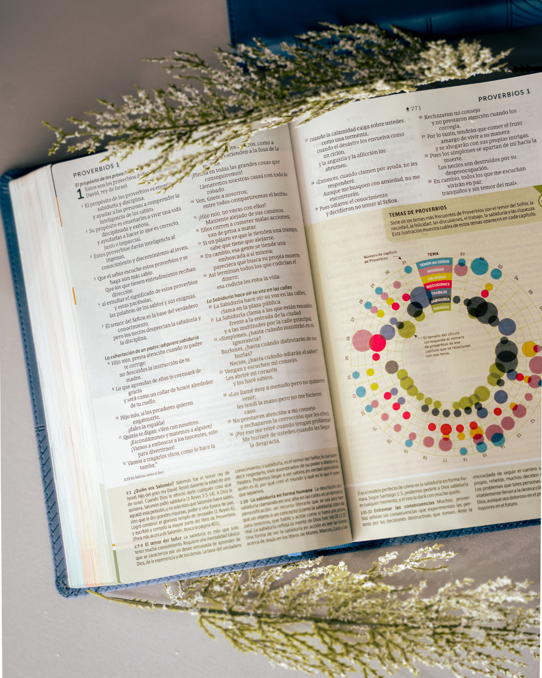 Biblia NTV | Estudio del Diario Vivir para Jóvenes - Tapa Dura Filament