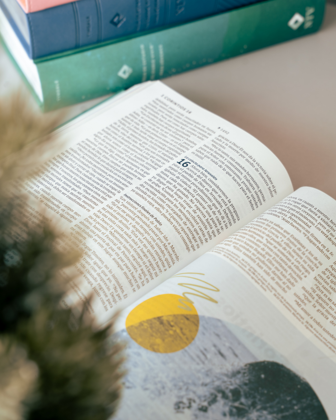 Biblia NTV | Estudio del Diario Vivir para Jóvenes - Tapa Dura Filament