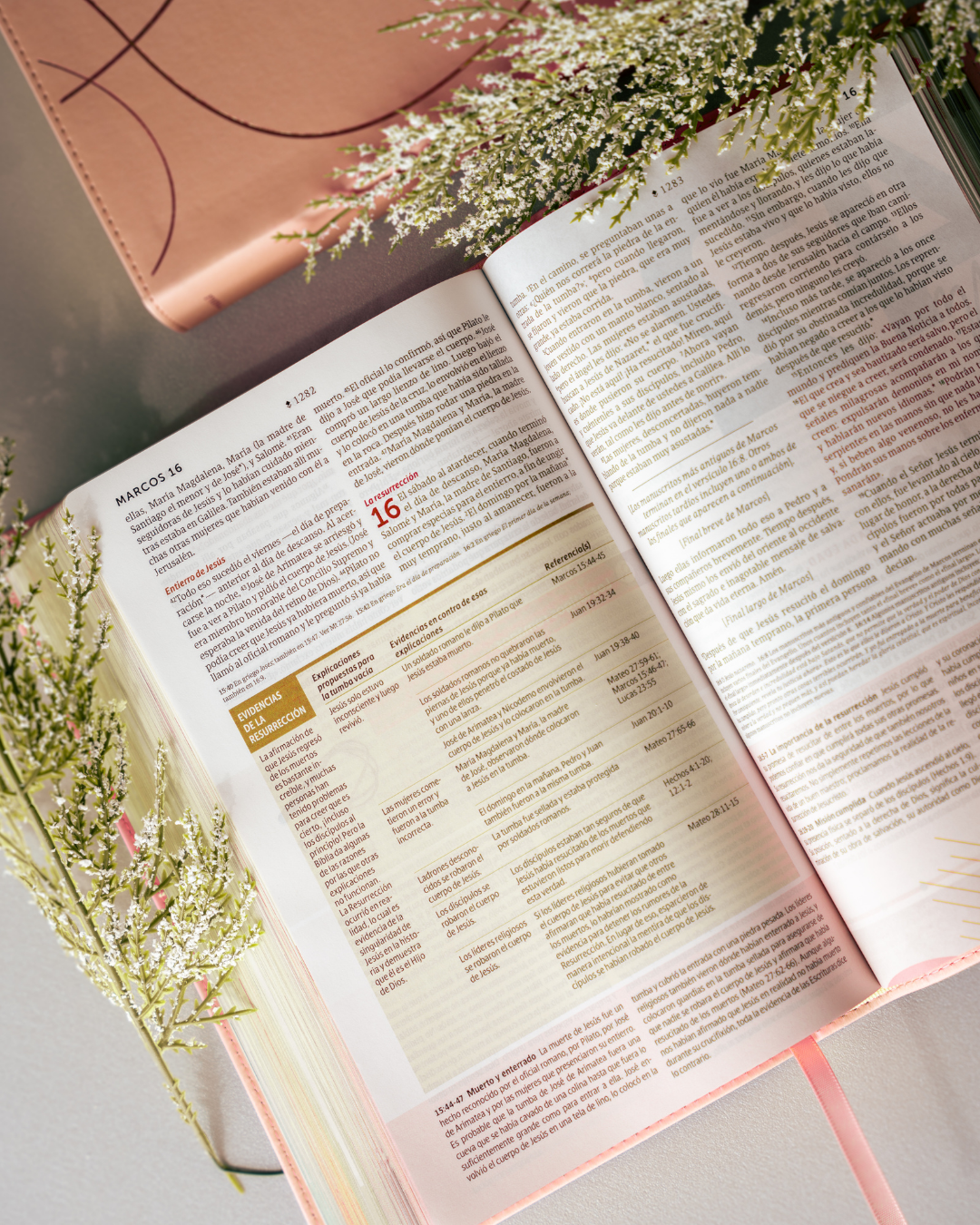 Biblia NTV | Estudio del Diario Vivir para Jóvenes - Tapa Dura Filament