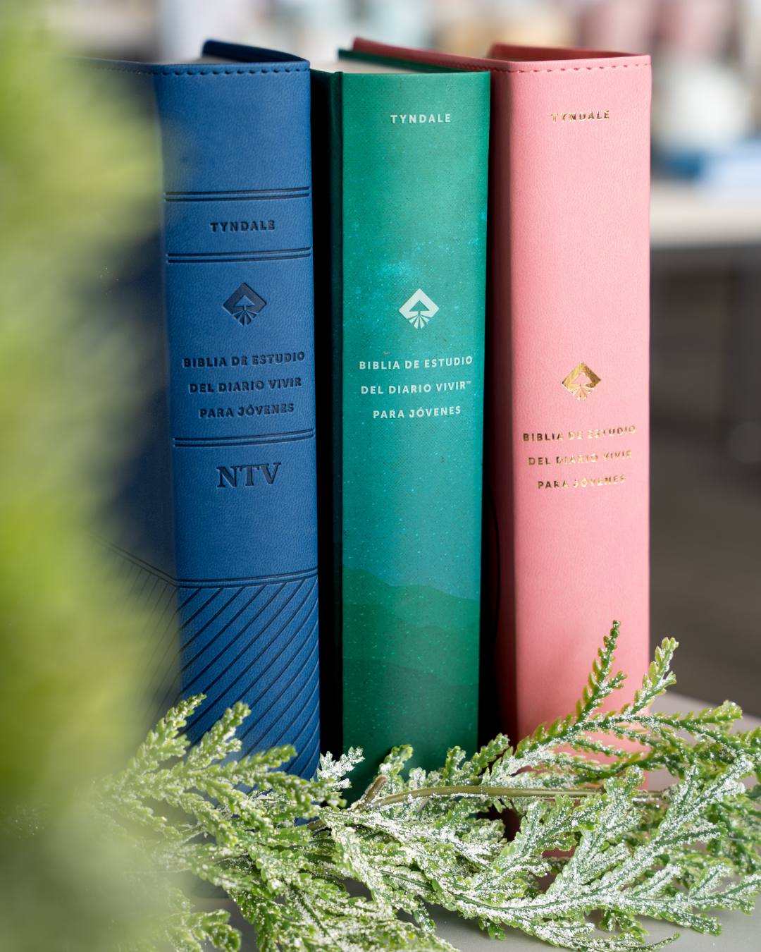 Biblia NTV | Estudio del Diario Vivir para Jóvenes - Tapa Dura Filament