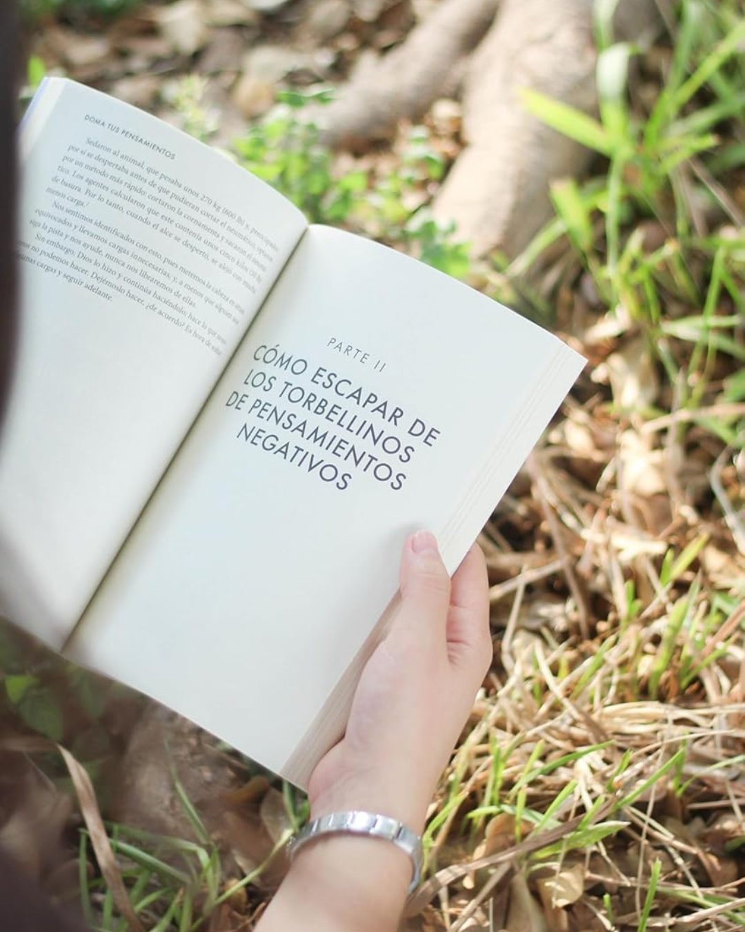 Doma Tus Pensamientos: Tres Herramientas para Renovar Tu Mente y Transformar Tu Vida | Max Lucado