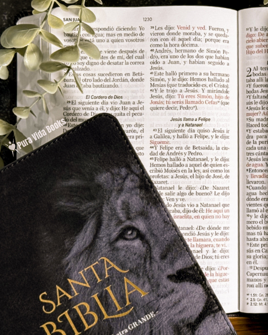 Biblia RVR1960 | Tapa Flex Diseño de León