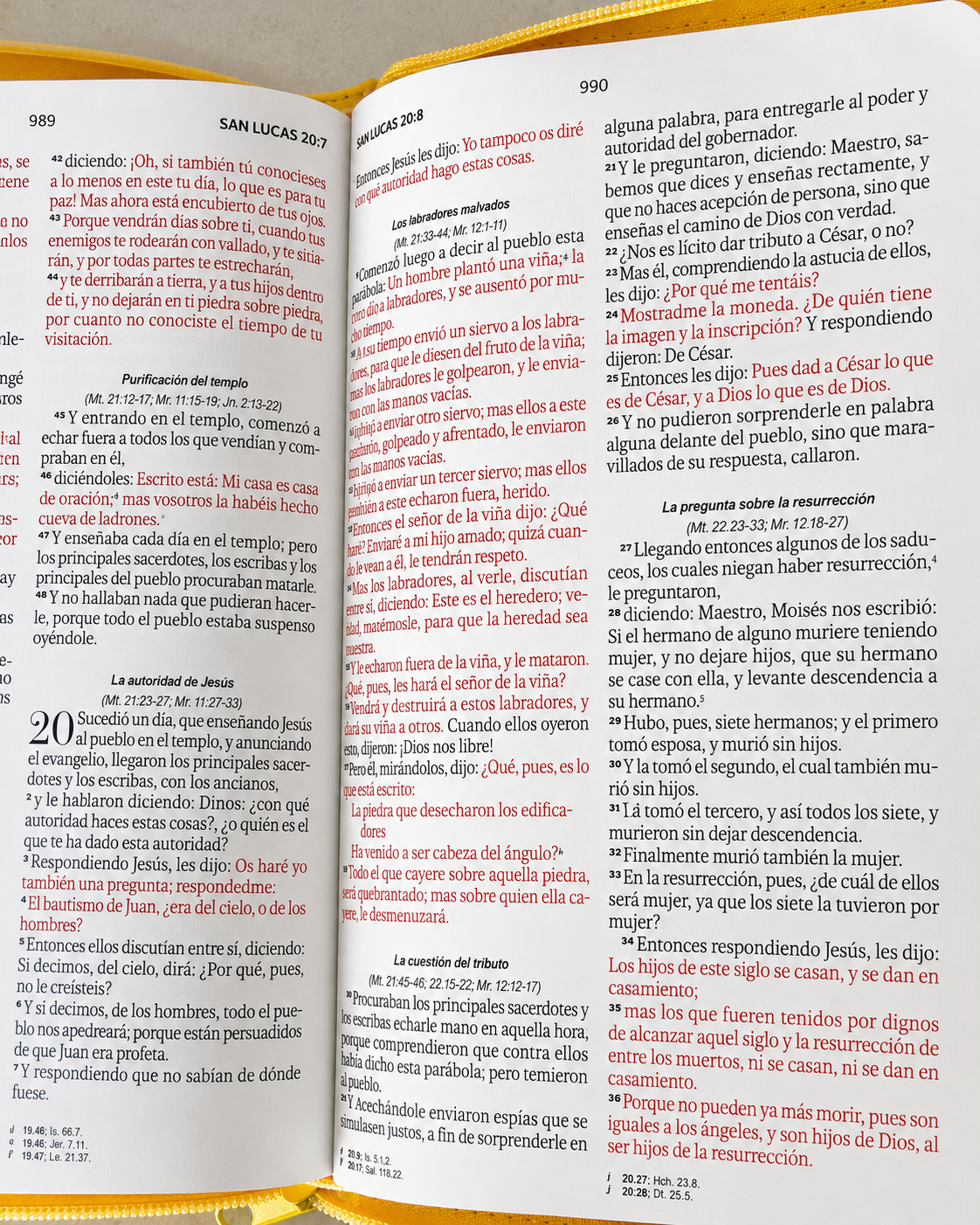 Biblia RVR1960 | Tapa Abeja con Cierre