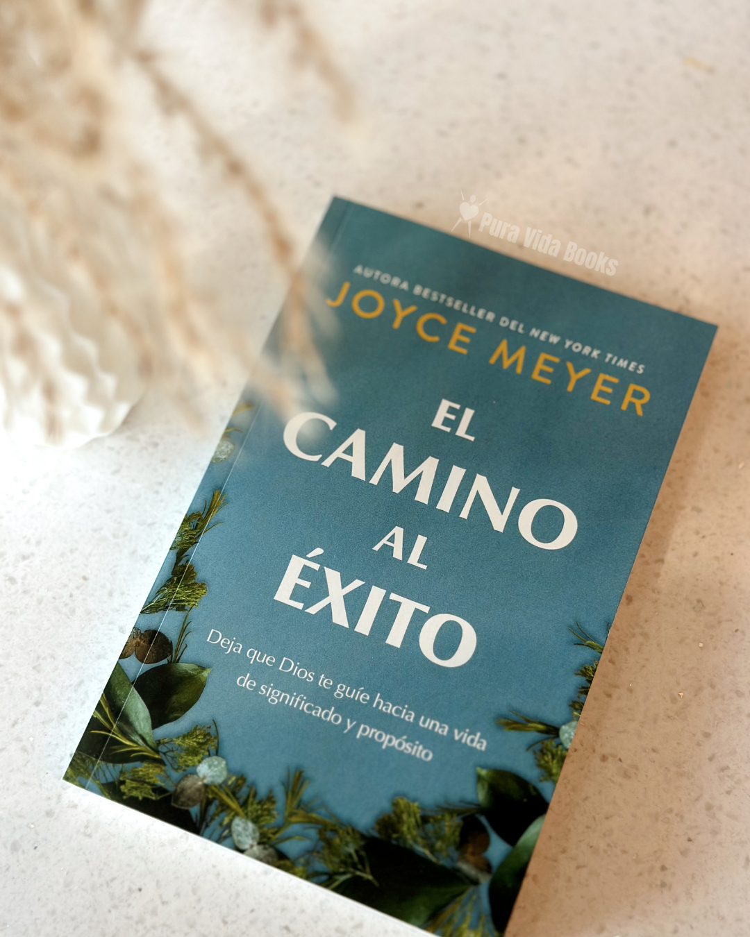 El Camino al Éxito: Deja que Dios te Guíe Hacia una Vida de Significado y Propósito | Joyce Meyer