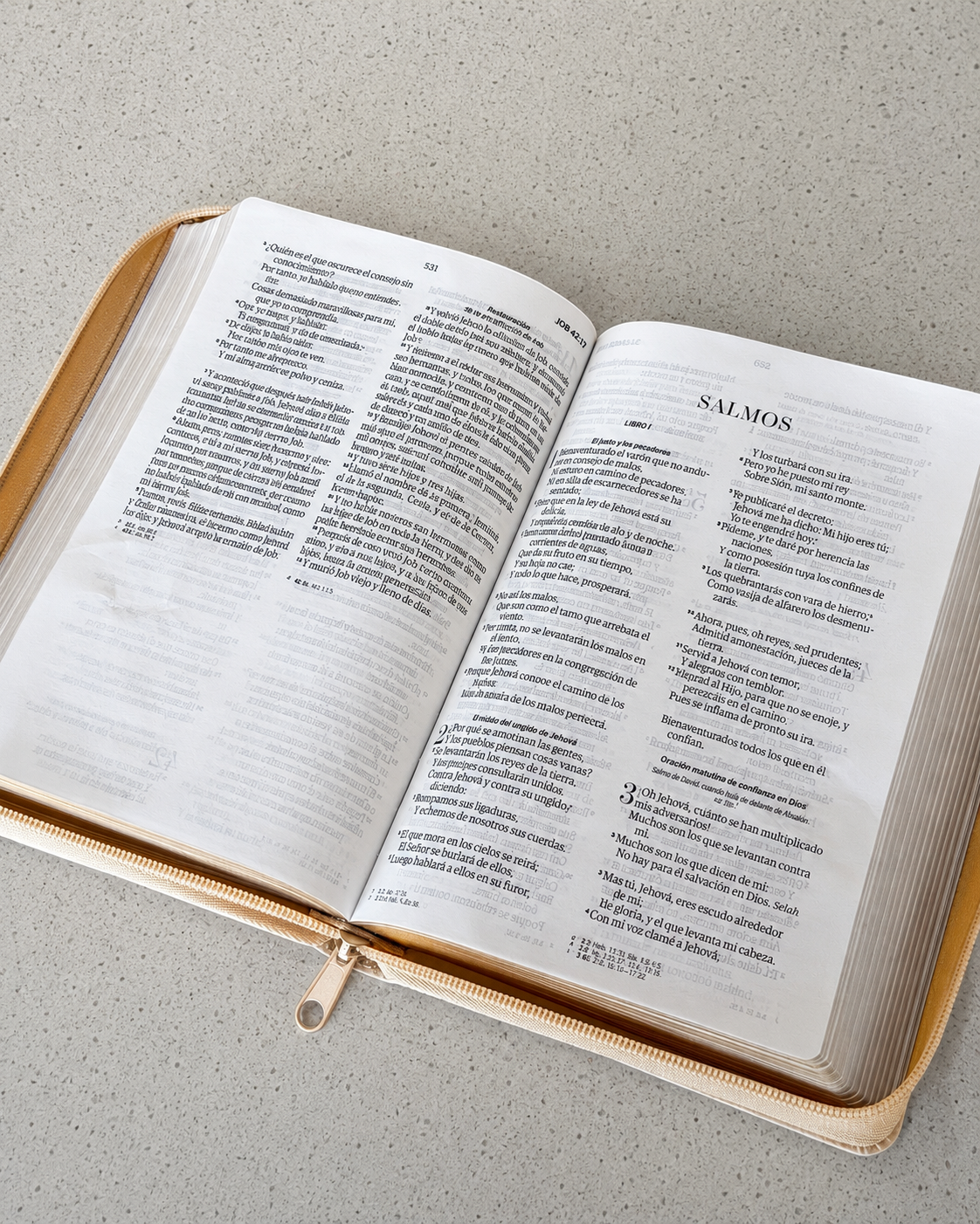 Biblia Obsequios y Premios | Beige con Cierre