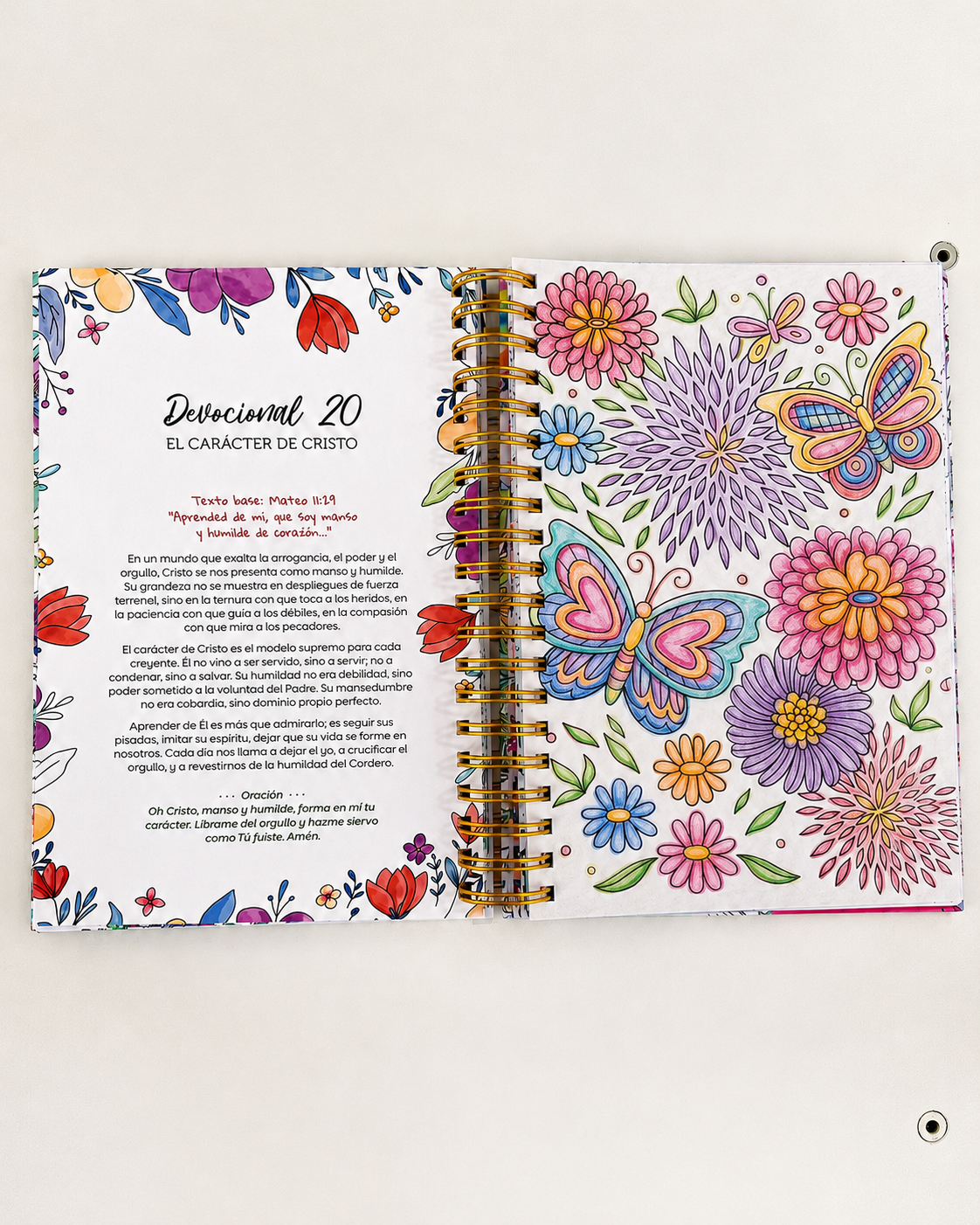 100 Devocionales para Colorear | Harriett Beecher Stowe