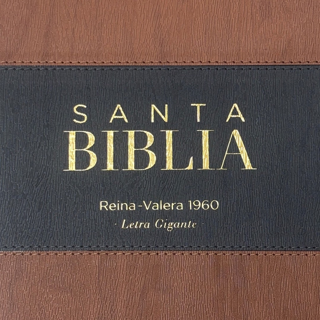 Biblia RVR60 con Índice  - Letra Grande 15 | marrón/gris