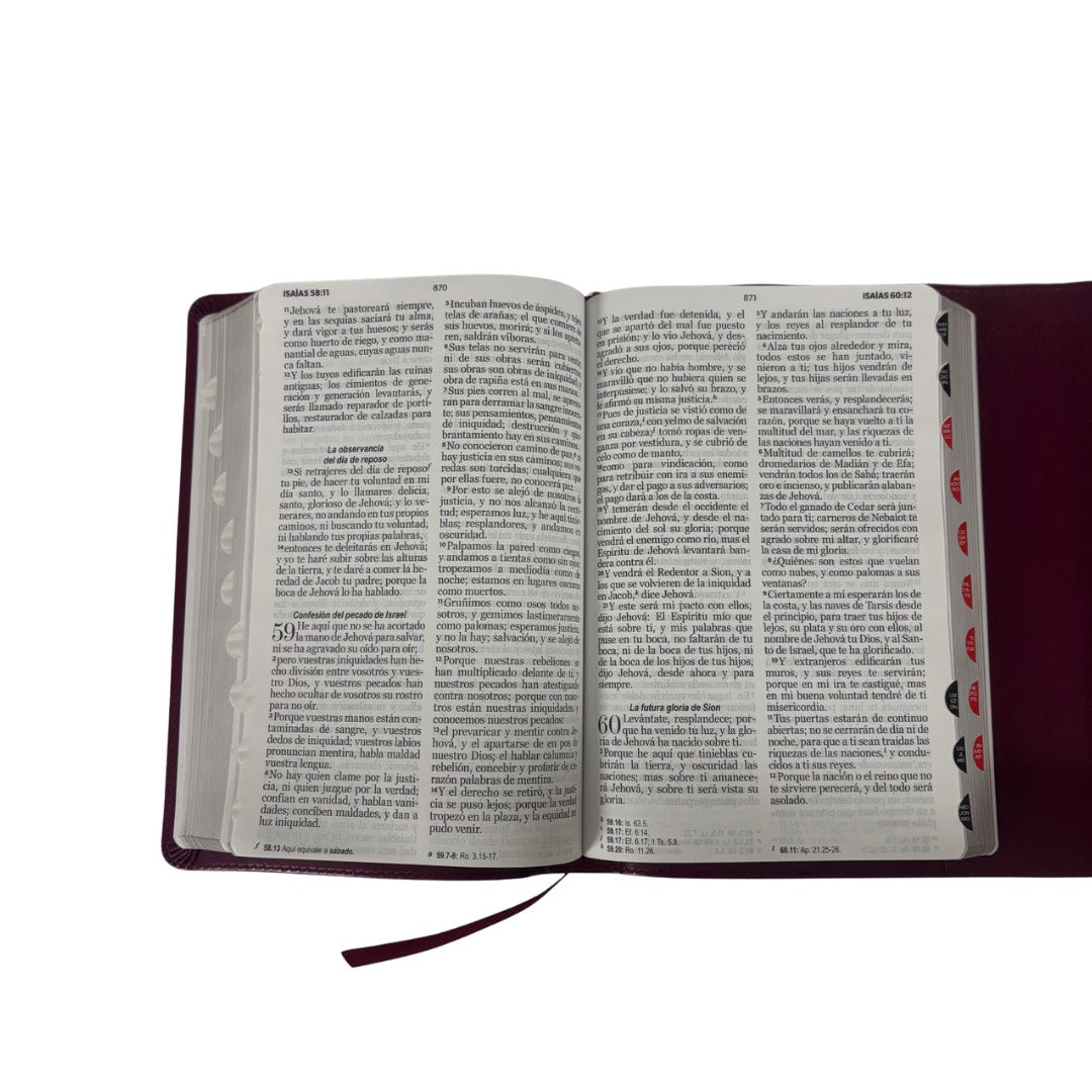 Biblia RVR60 con Índice  - Letra Grande 12 | Vintage floral/rosa