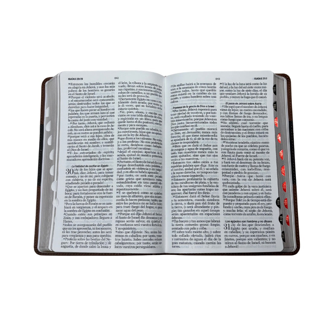 Biblia RVR60 con Índice  - Letra Grande 12 | PJR geo marrón/gris.