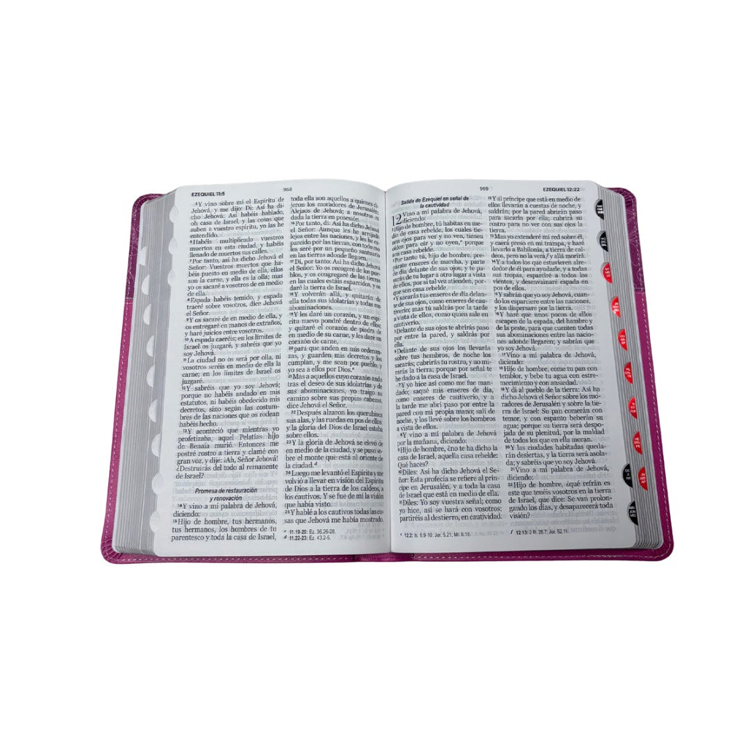 Biblia RVR60 con Índice  - Letra Grande 12 | Bifloral rosa