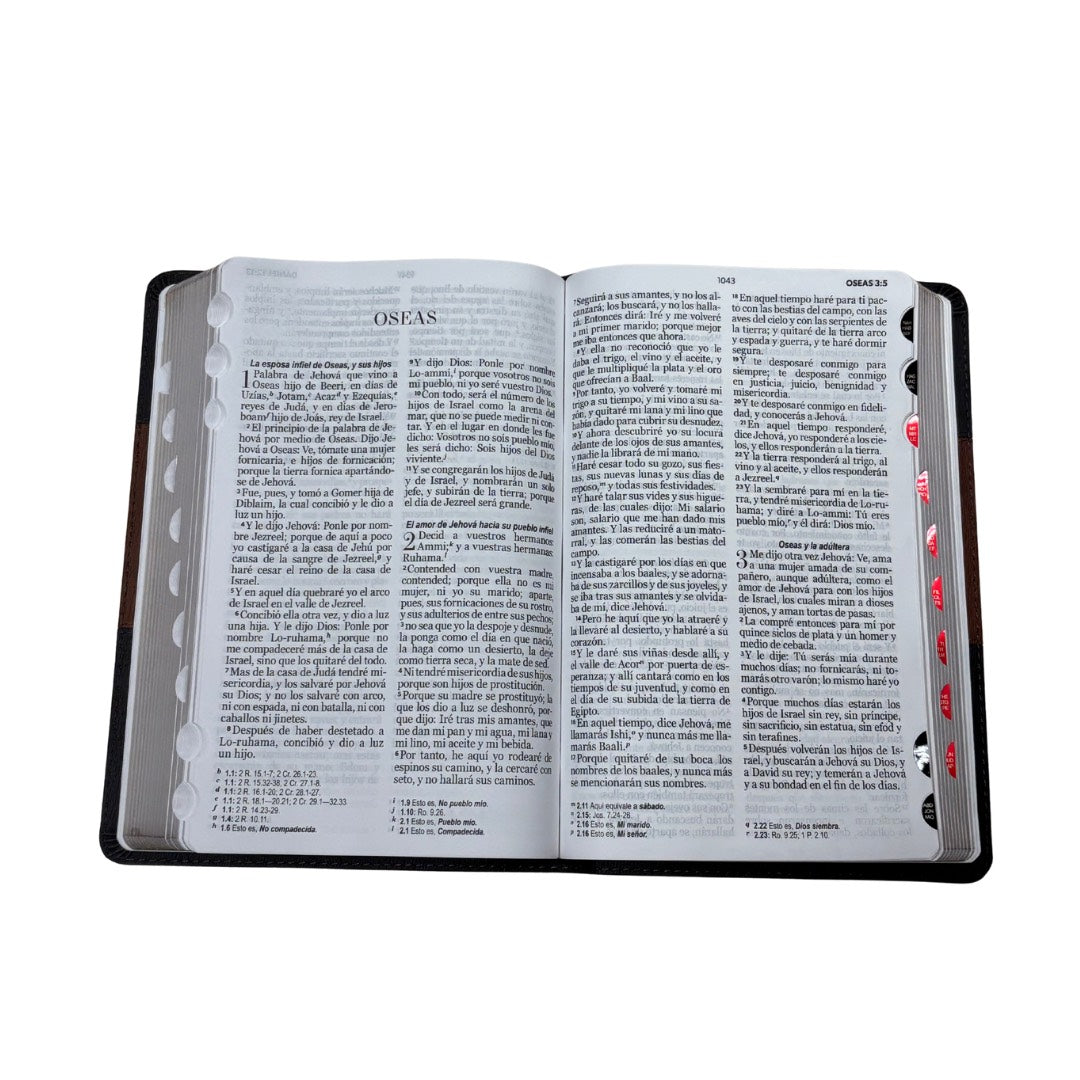 Biblia RVR60 con Índice  - Letra Grande 12 | PJR geo gris/café oscuro