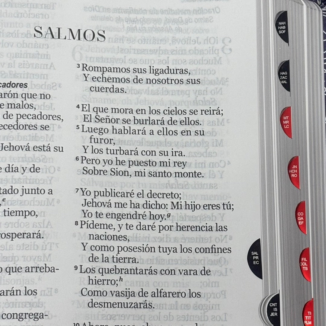 Biblia RVR60 con Índice  - Letra Grande 15 | marrón/gris