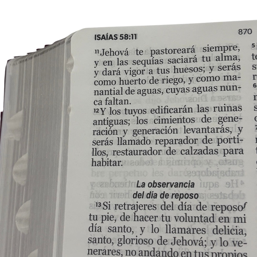 Biblia RVR60 con Índice  - Letra Grande 12 | Vintage floral/rosa