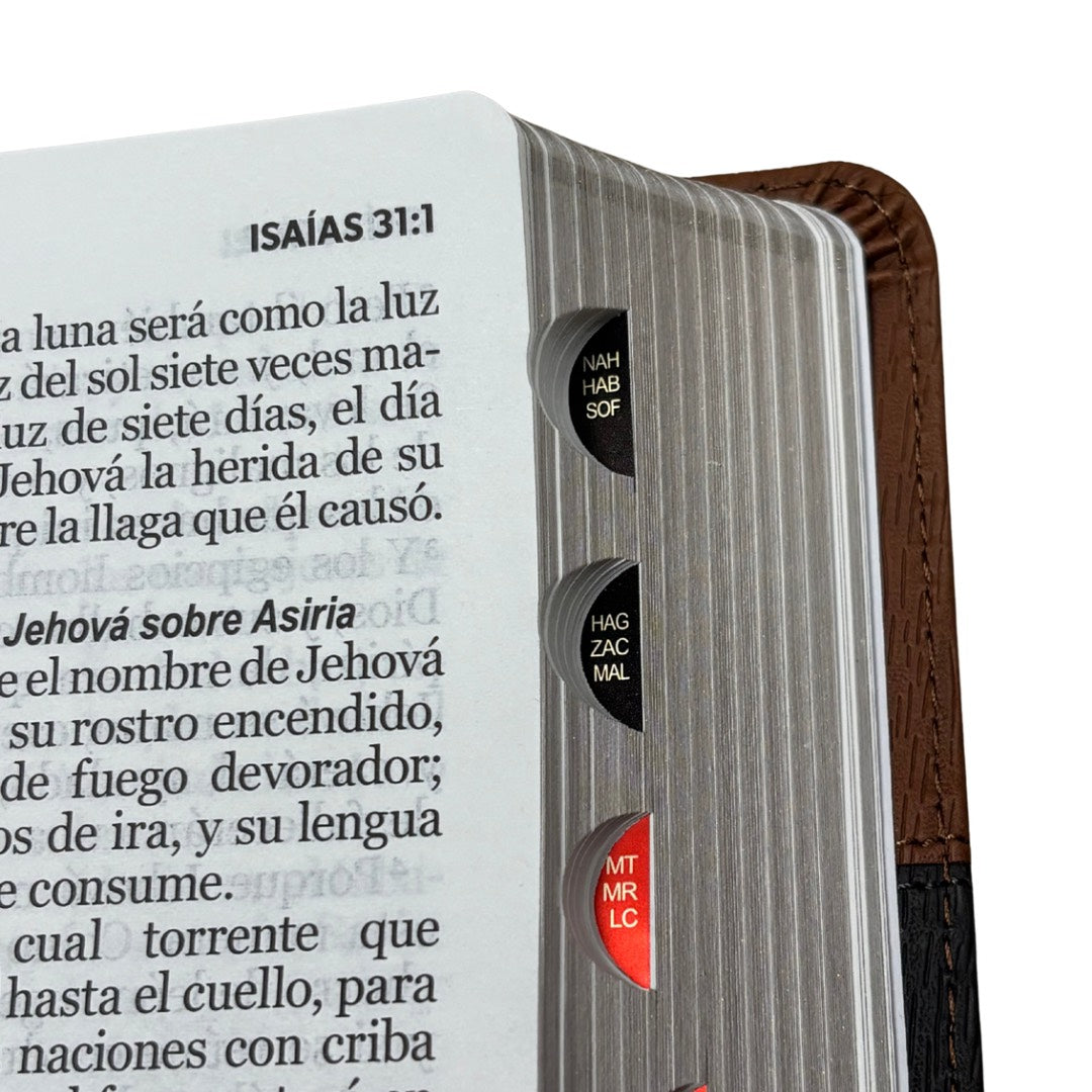 Biblia RVR60 con Índice  - Letra Grande 12 | PJR geo marrón/gris.