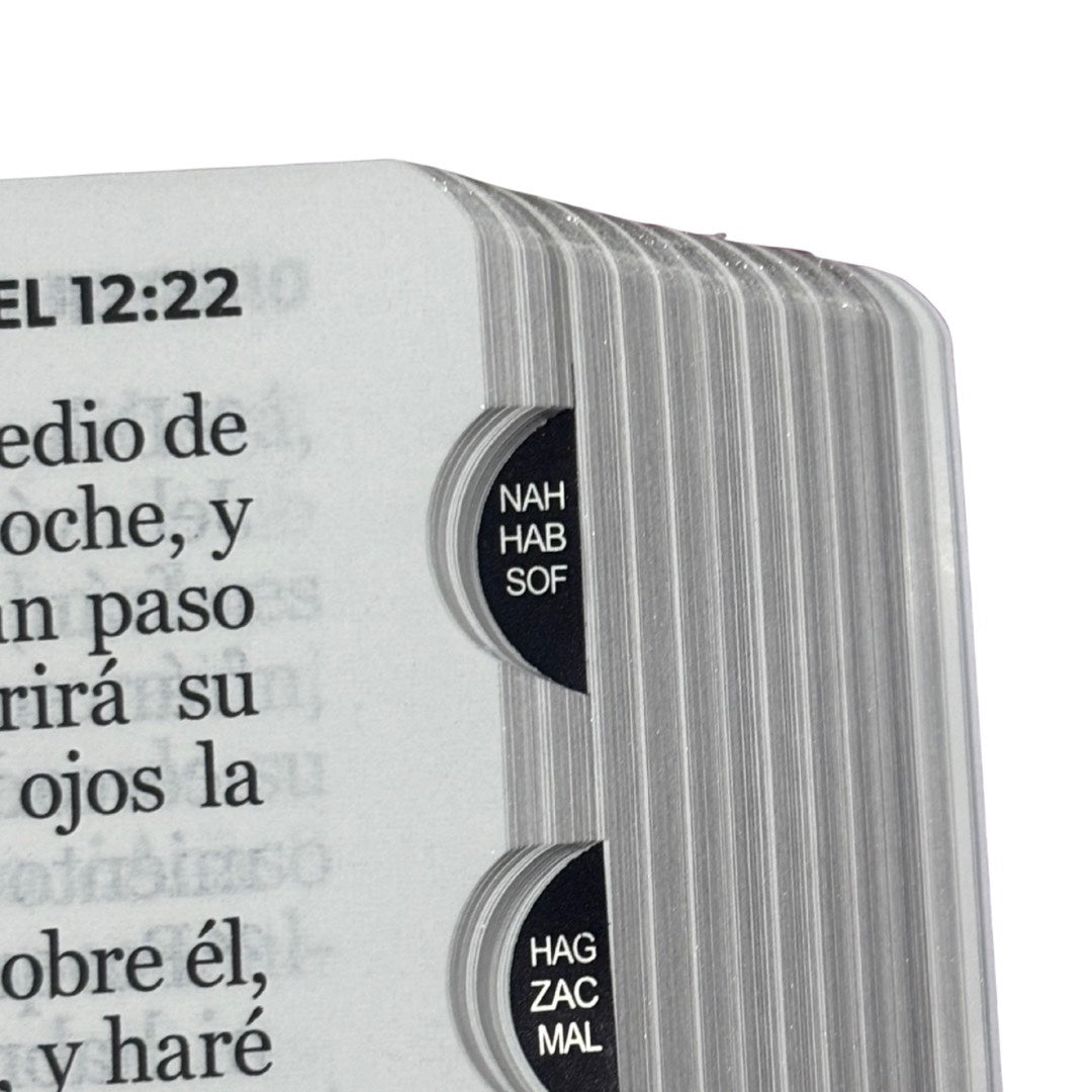 Biblia RVR60 con Índice  - Letra Grande 12 | Bifloral rosa