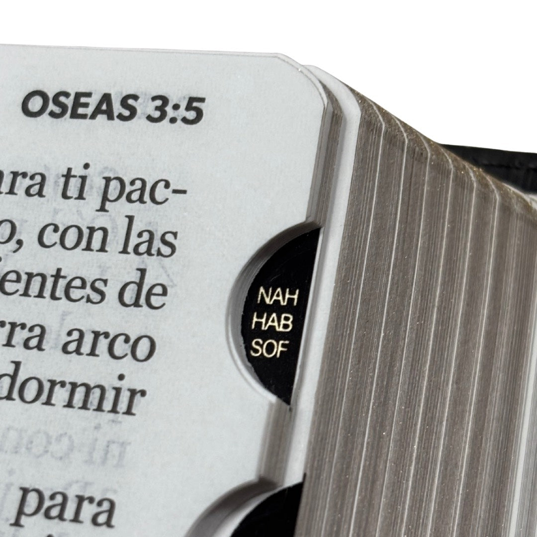 Biblia RVR60 con Índice  - Letra Grande 12 | PJR geo gris/café oscuro