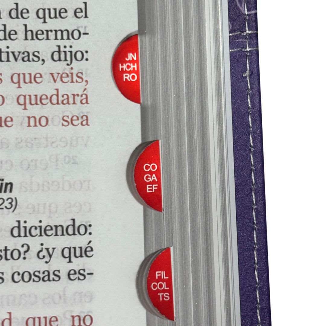 Biblia RVR60 con Índice  - Letra Grande 12 | Bifloral lila