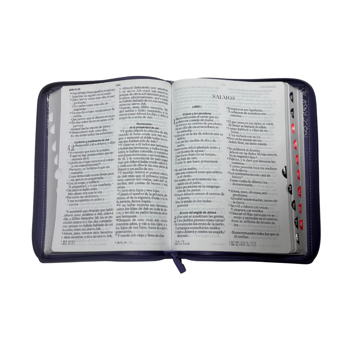 Biblia RVR60 con Índice  - Letra Grande 15 | Bifloral lila