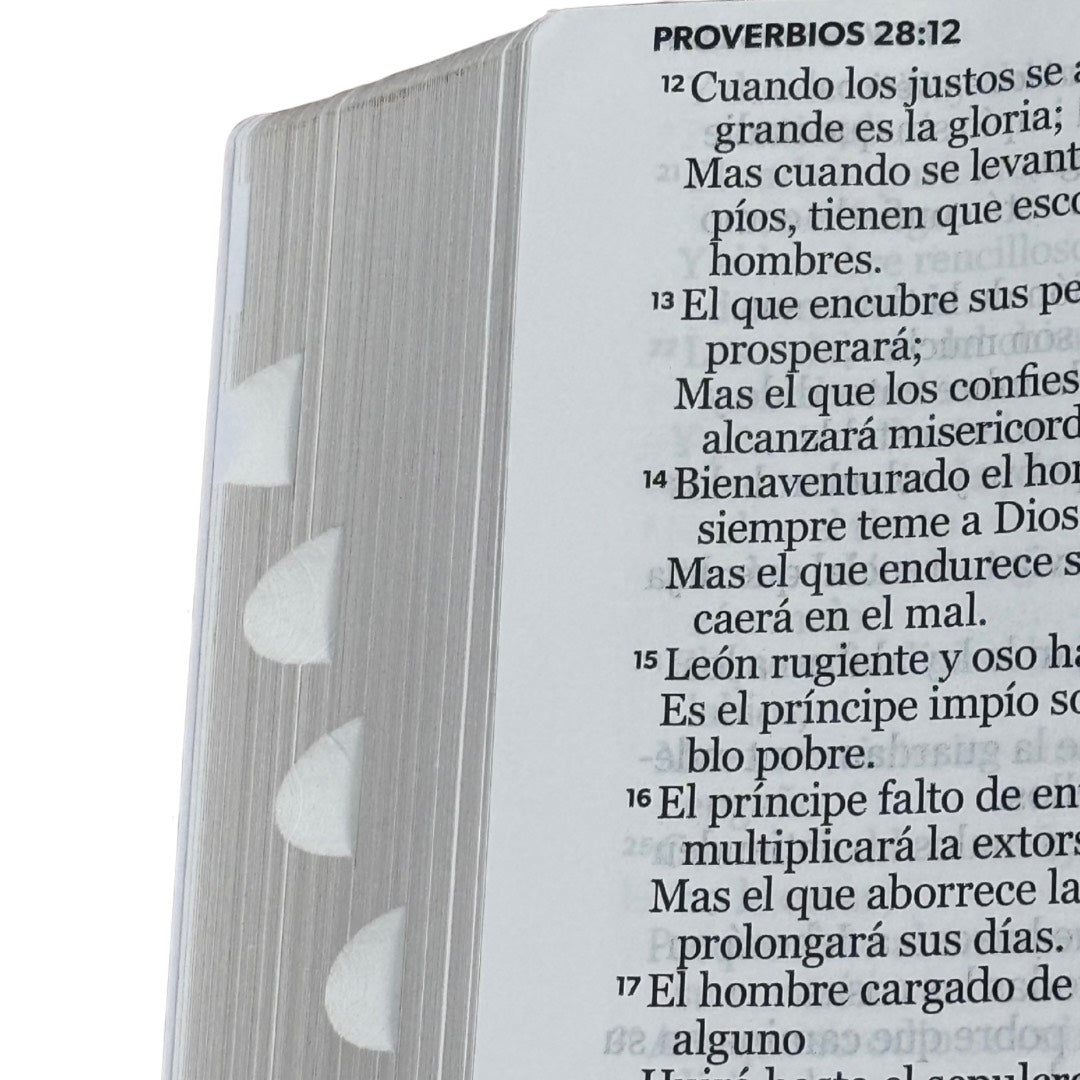 Biblia RVR60 con Índice  - Letra Grande 15 | marrón/gris