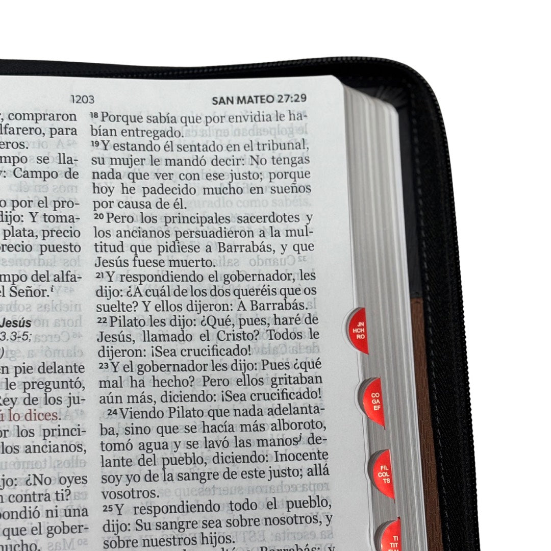 Biblia RVR60 con Índice  - Letra Grande 15 | gris/café oscuro