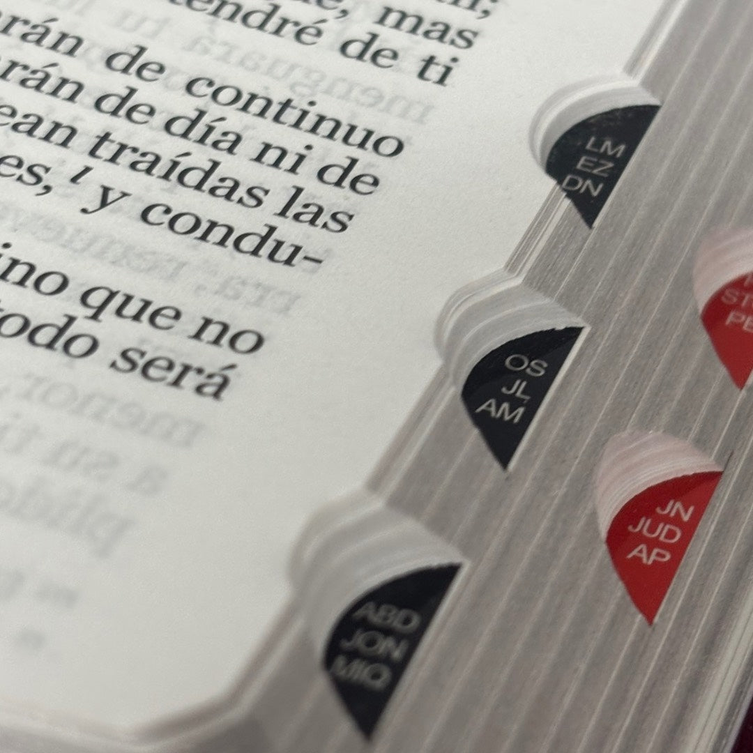 Biblia RVR60 con Índice  - Letra Grande 12 | Vintage floral/rosa
