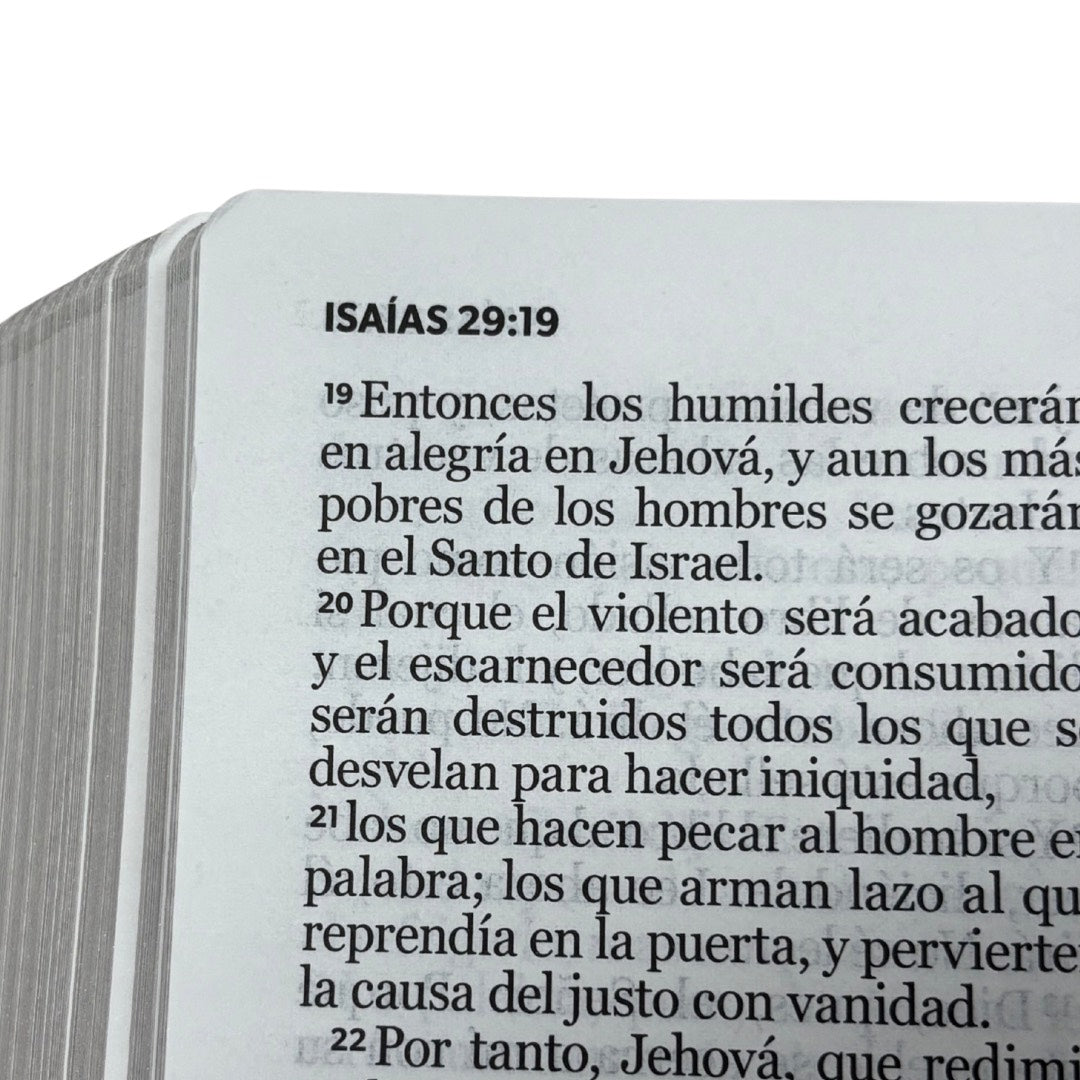 Biblia RVR60 con Índice  - Letra Grande 12 | PJR geo marrón/gris.