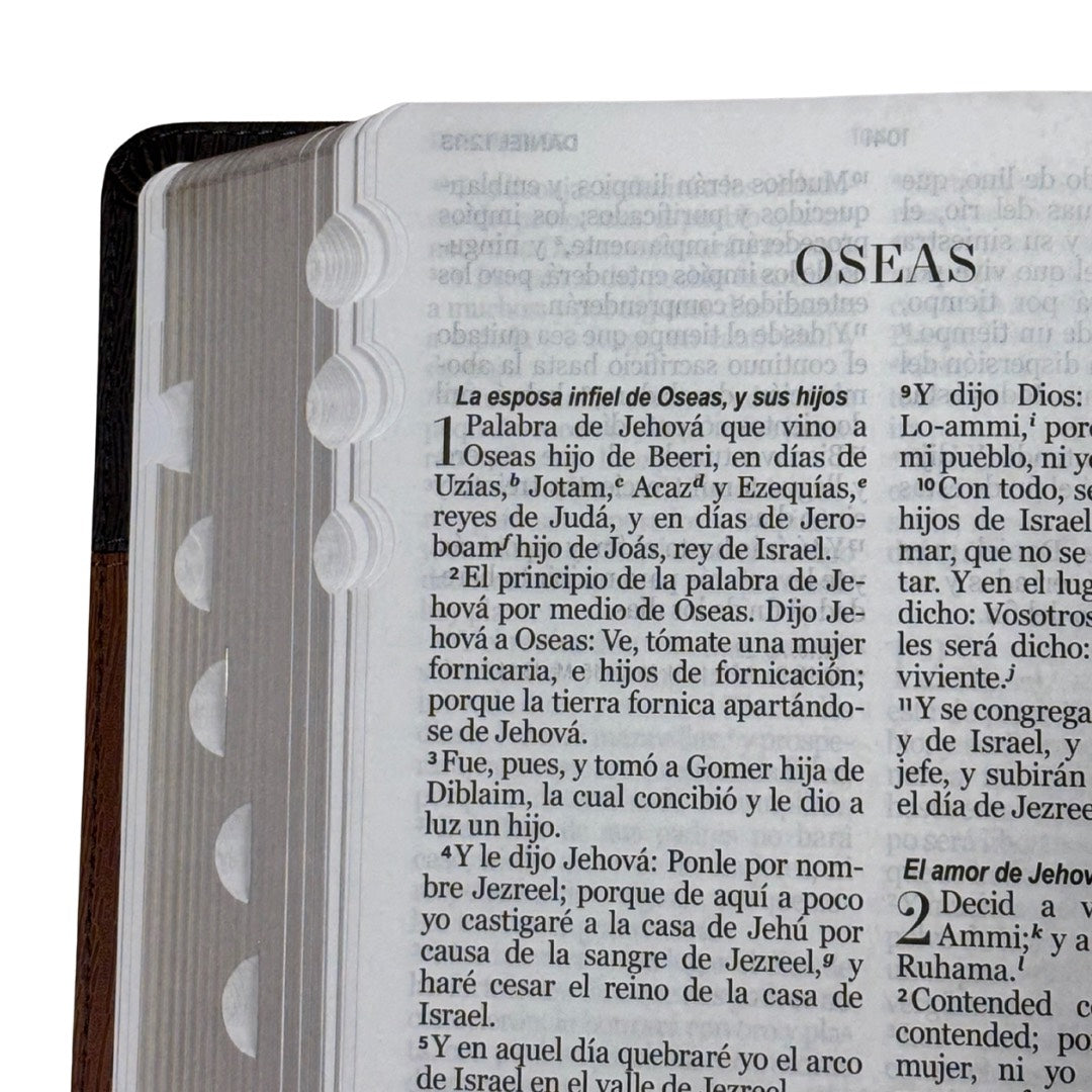 Biblia RVR60 con Índice  - Letra Grande 12 | PJR geo gris/café oscuro
