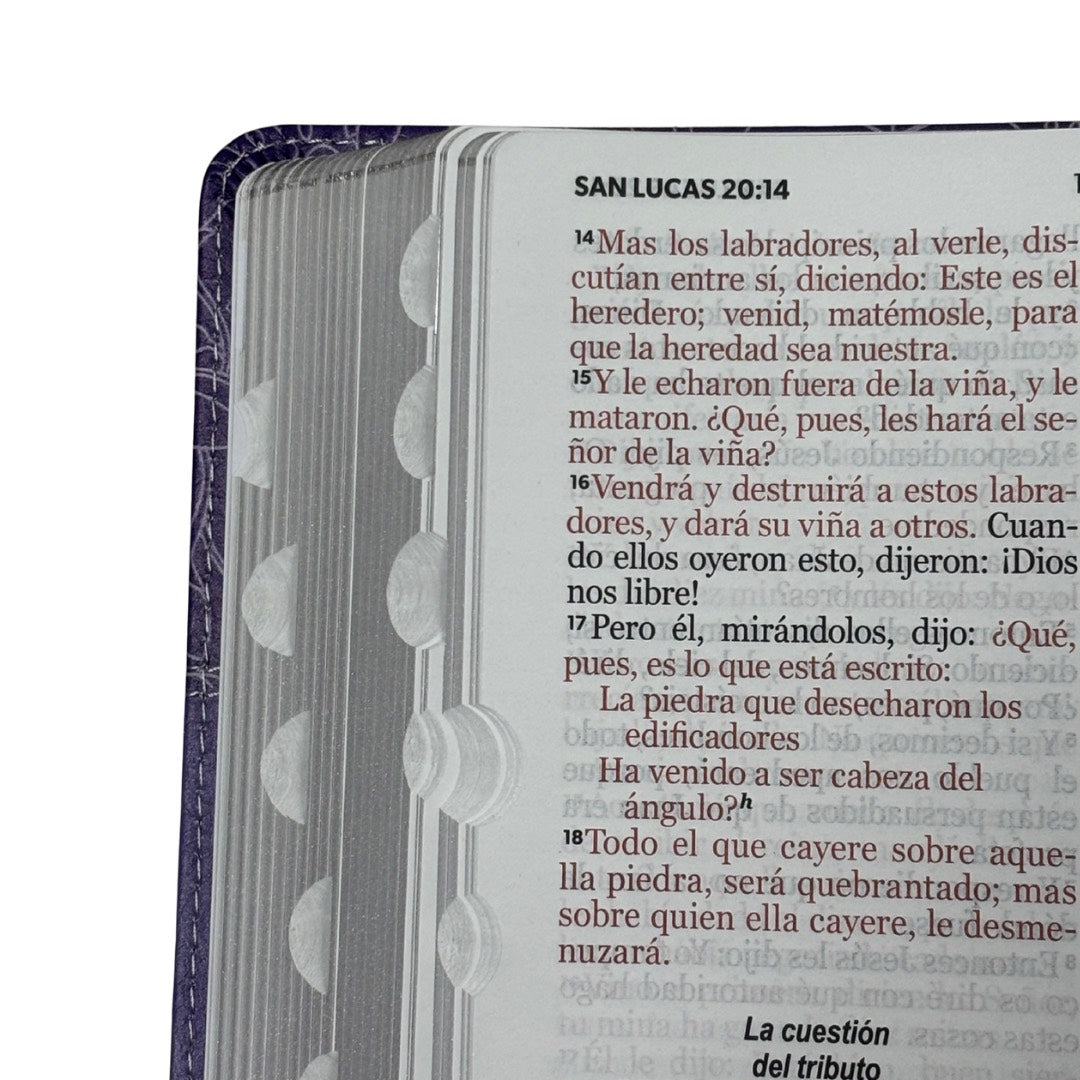 Biblia RVR60 con Índice  - Letra Grande 12 | Bifloral lila