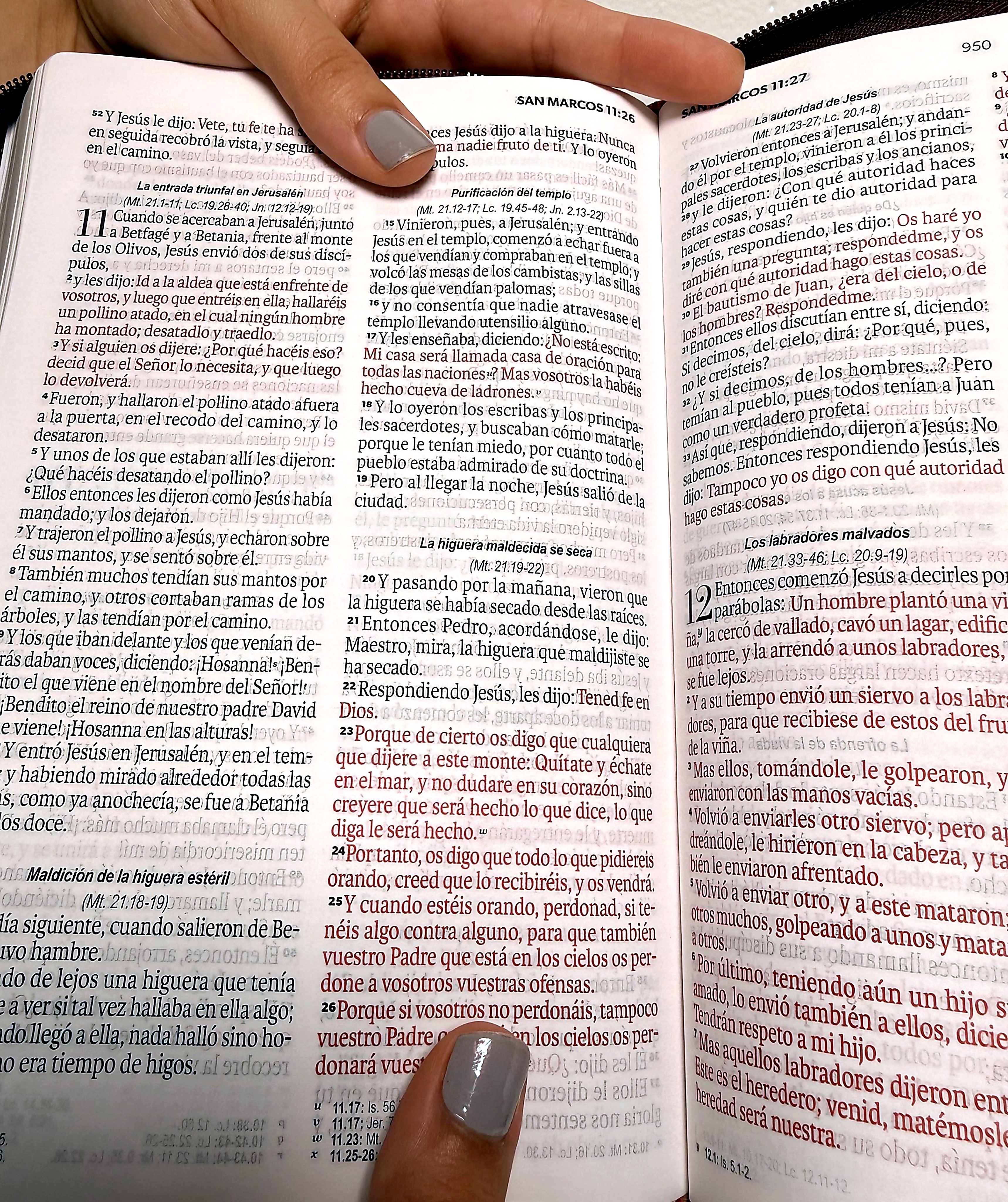 Biblia Ideal Rvr60 Obsequios Marron con cierre