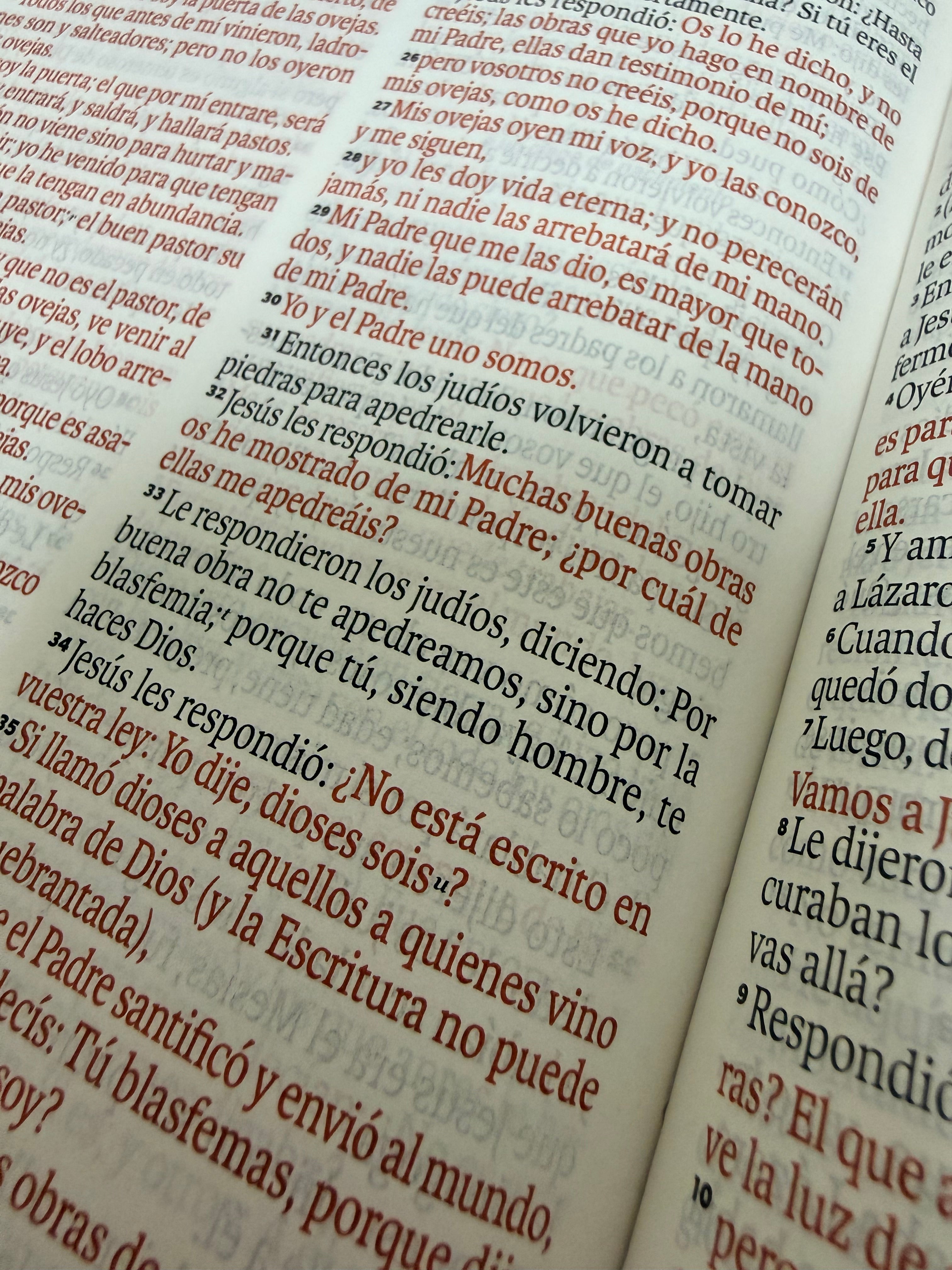 Biblia Ideal Rvr60 Obsequios Marron con cierre