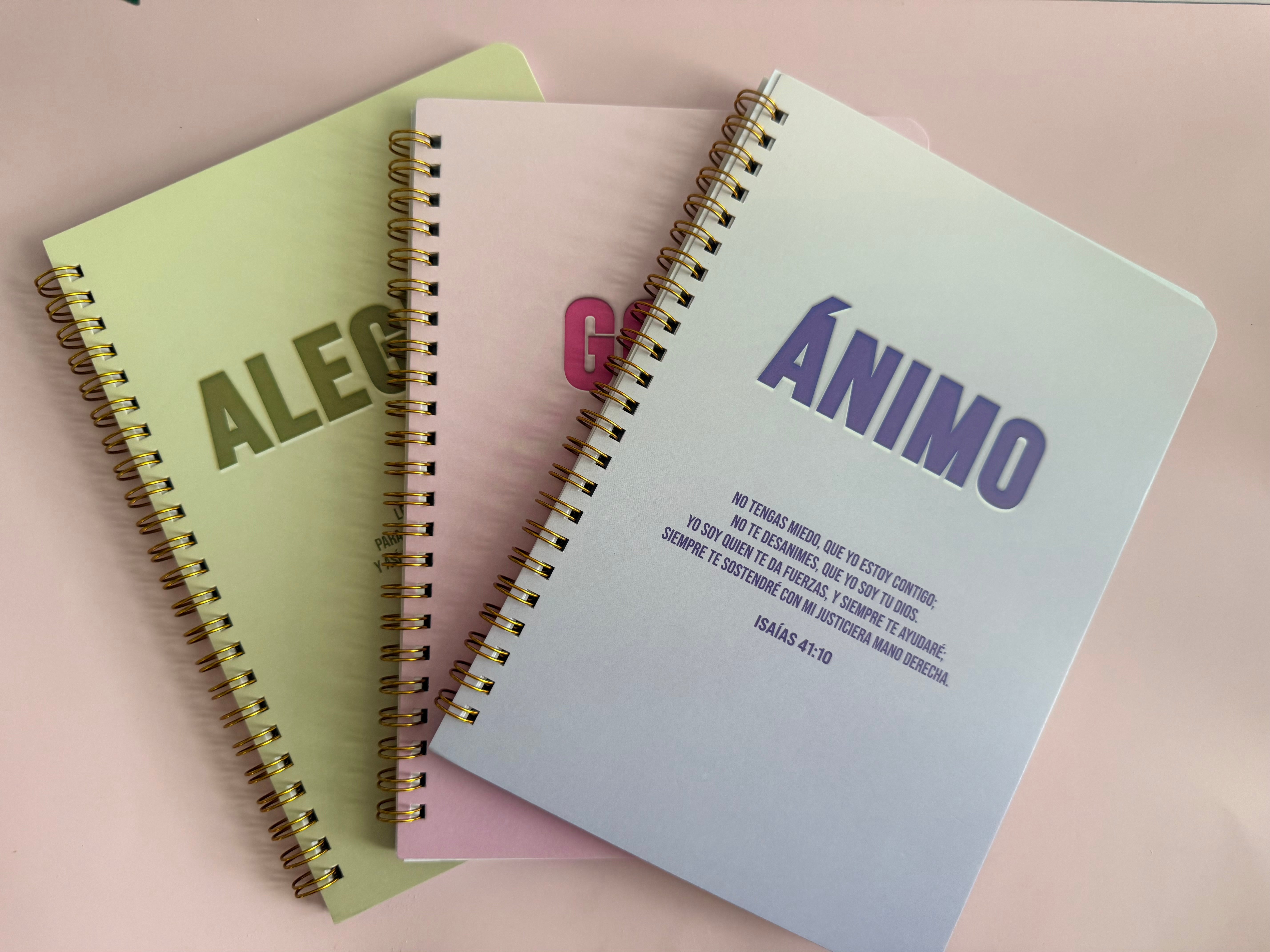 Pack 3 libretas Ánimo