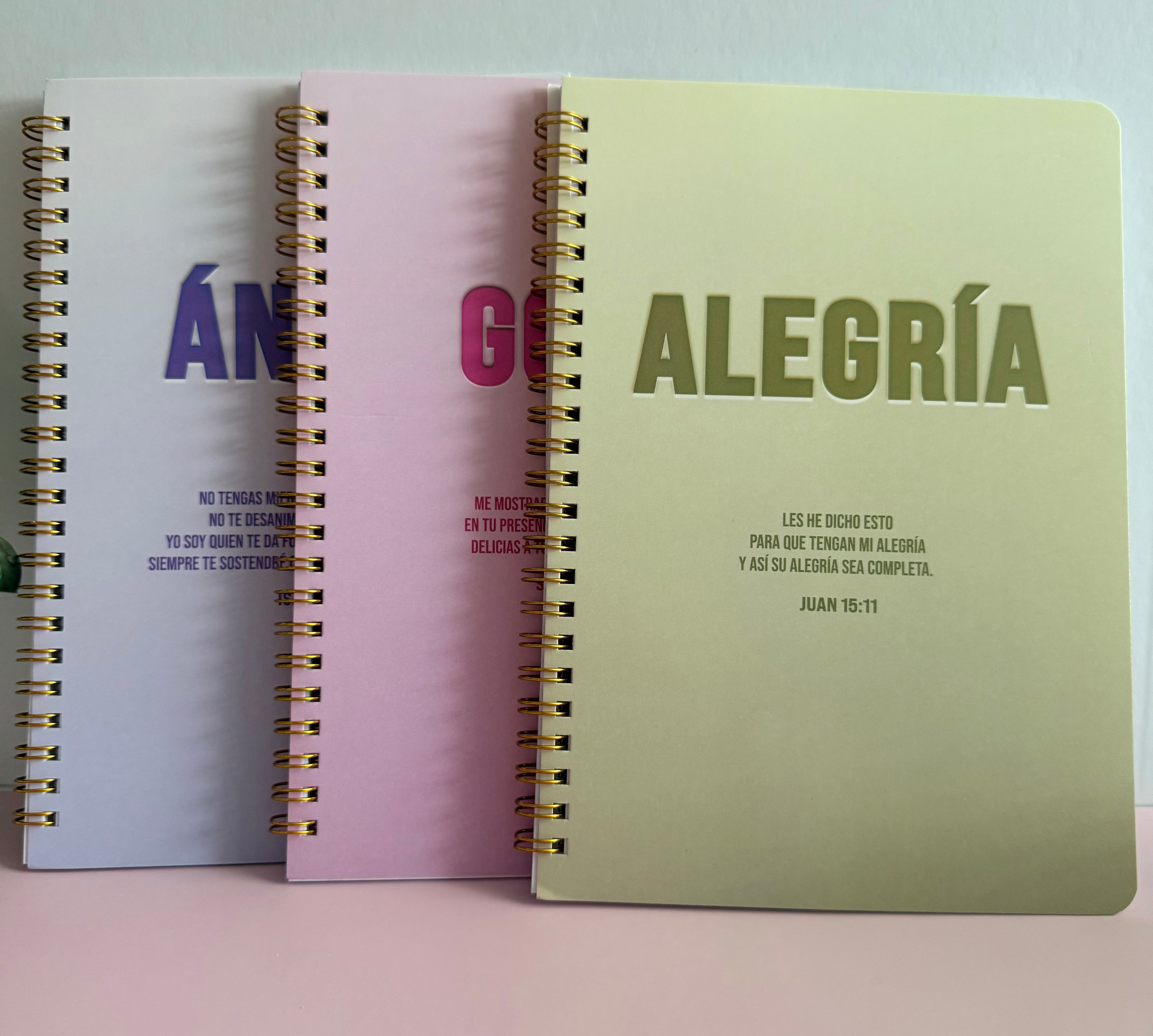 Pack 3 libretas Ánimo