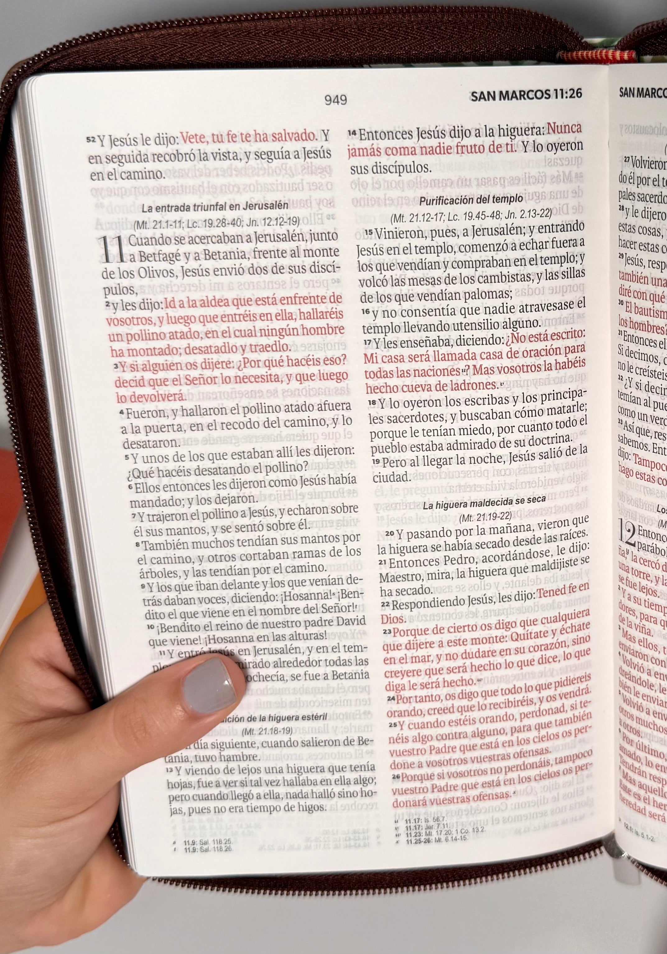 Biblia Ideal Rvr60 Hojas en esplendor con cierre