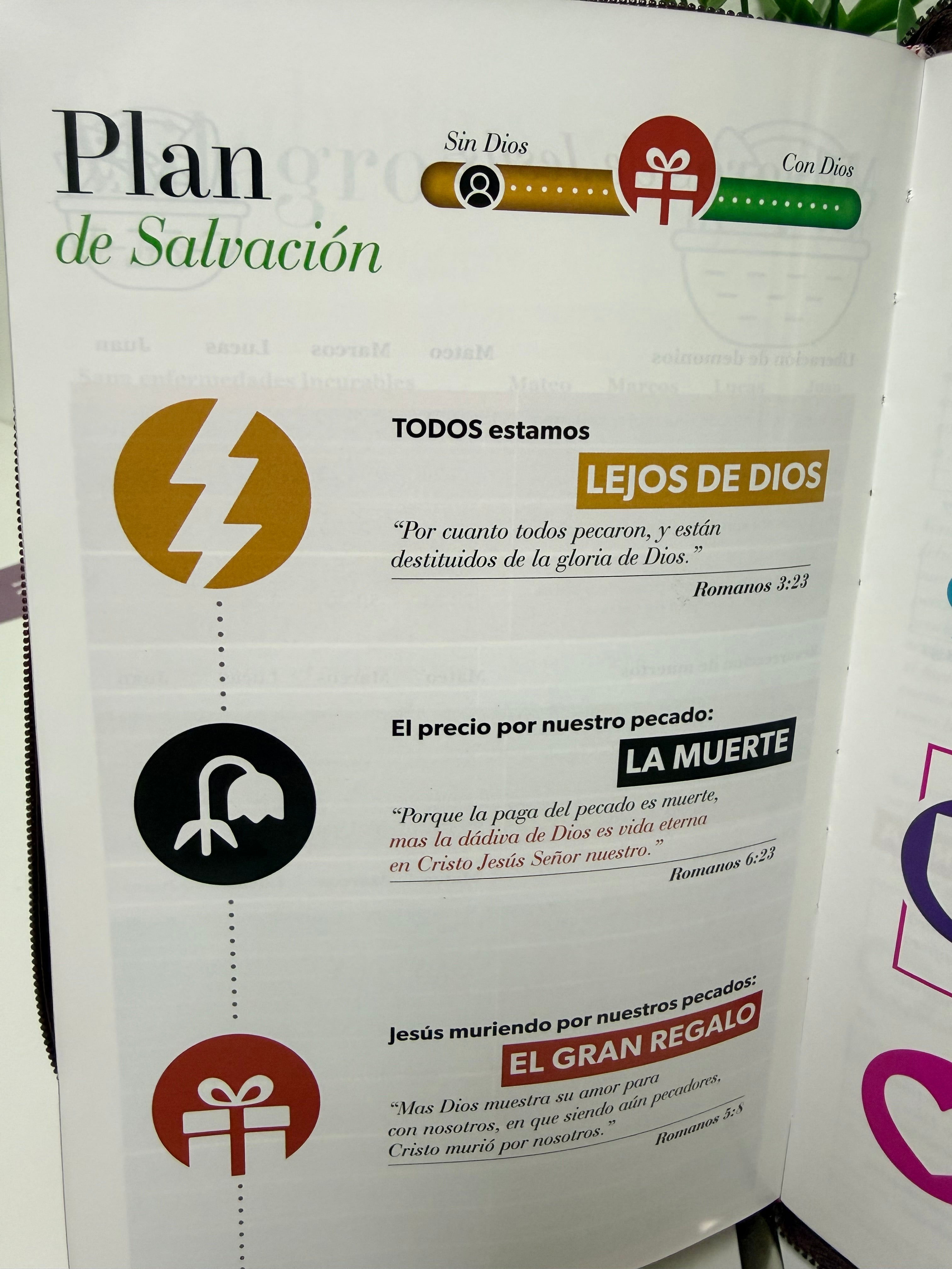 Biblia Ideal Rvr60 Obsequios Negra con cierre